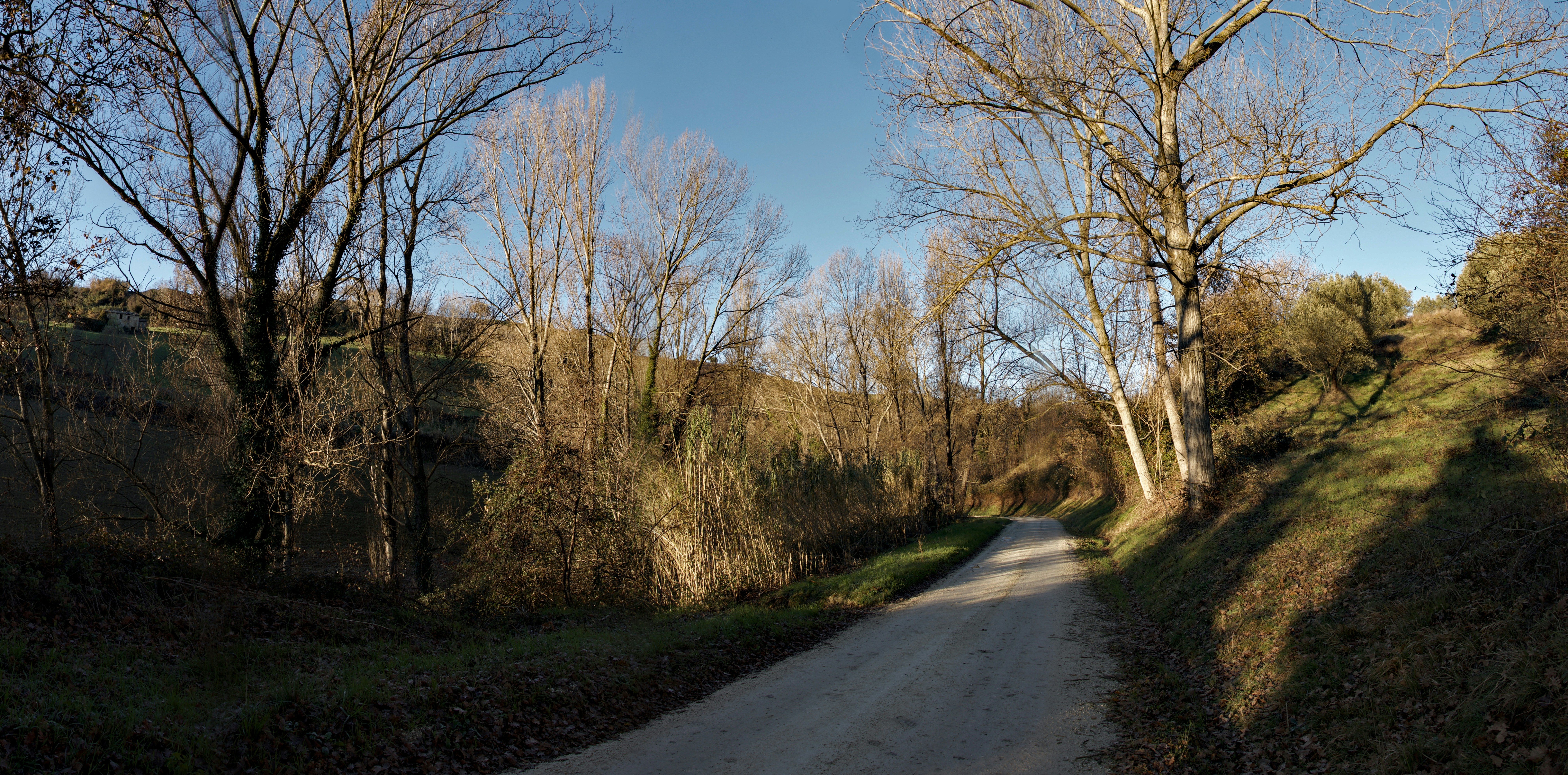 Photo by mariobeducci