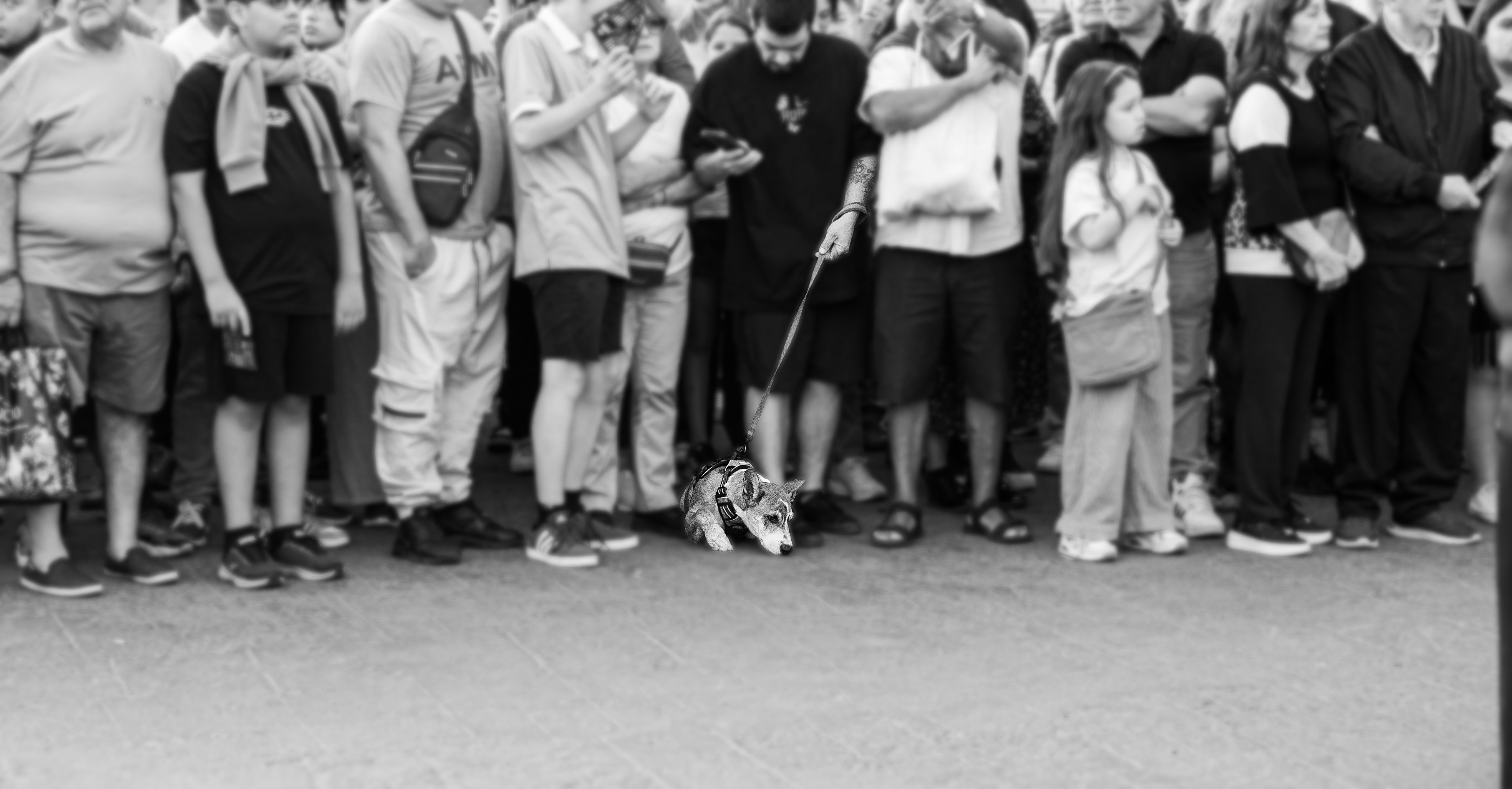 Photo by matiaseduardo