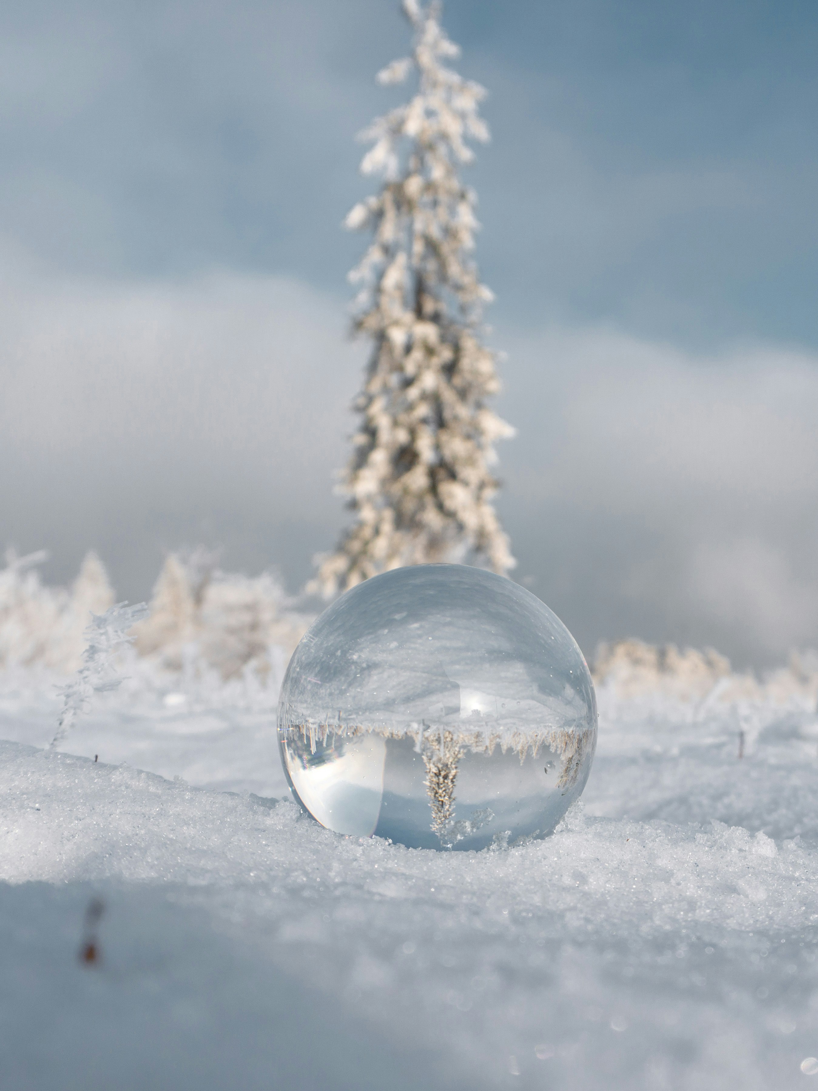 Eine Schneekugel, die auf einem schneebedeckten Boden sitzt