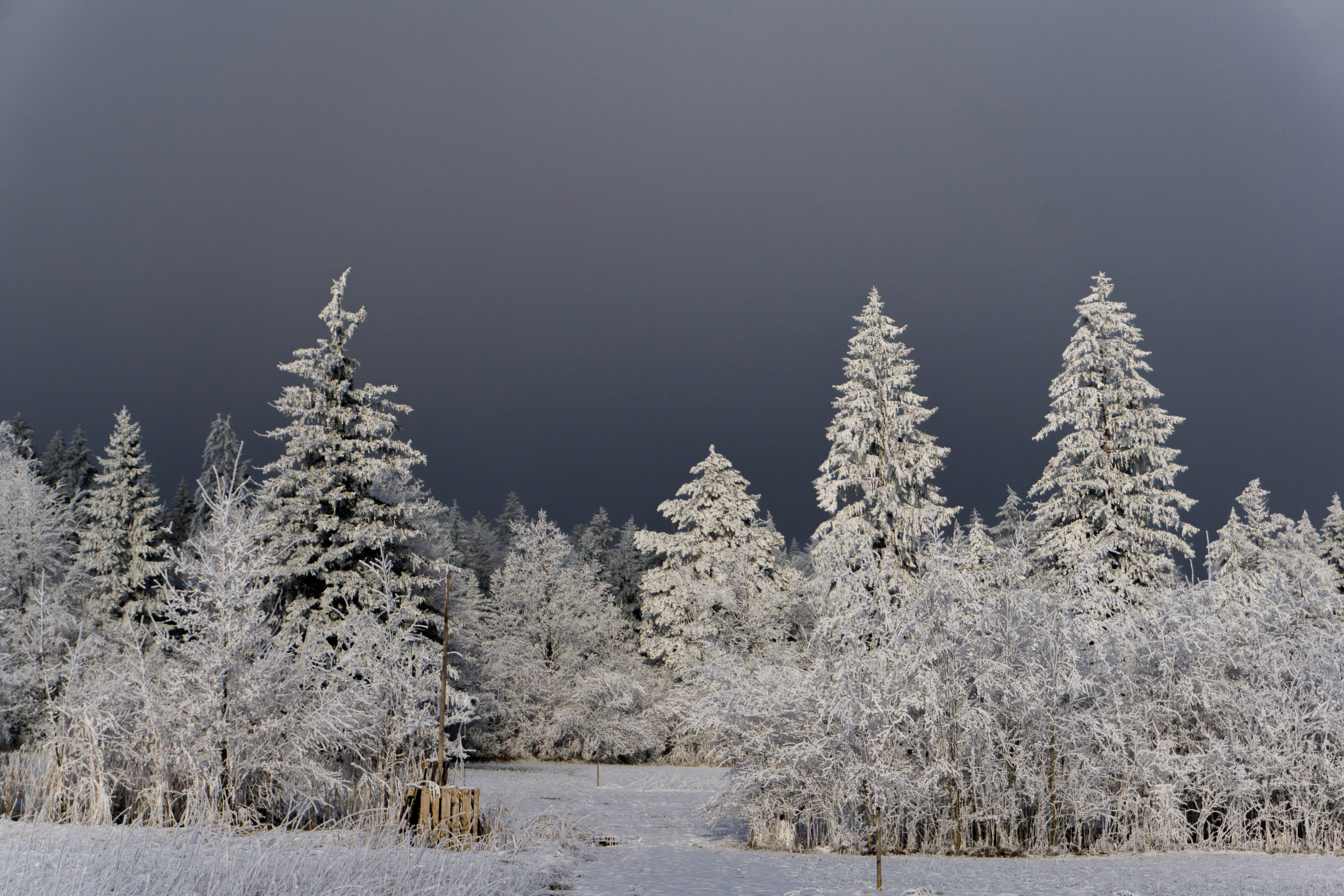 Photo by sarasgalerie