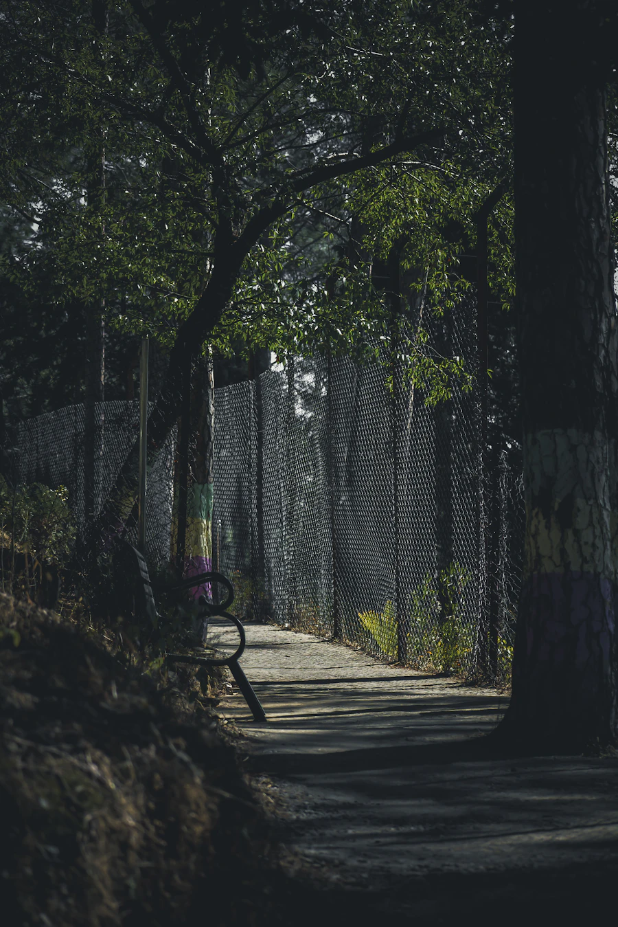 A park bench in Almora, Uttarakhand, looking out over the hills