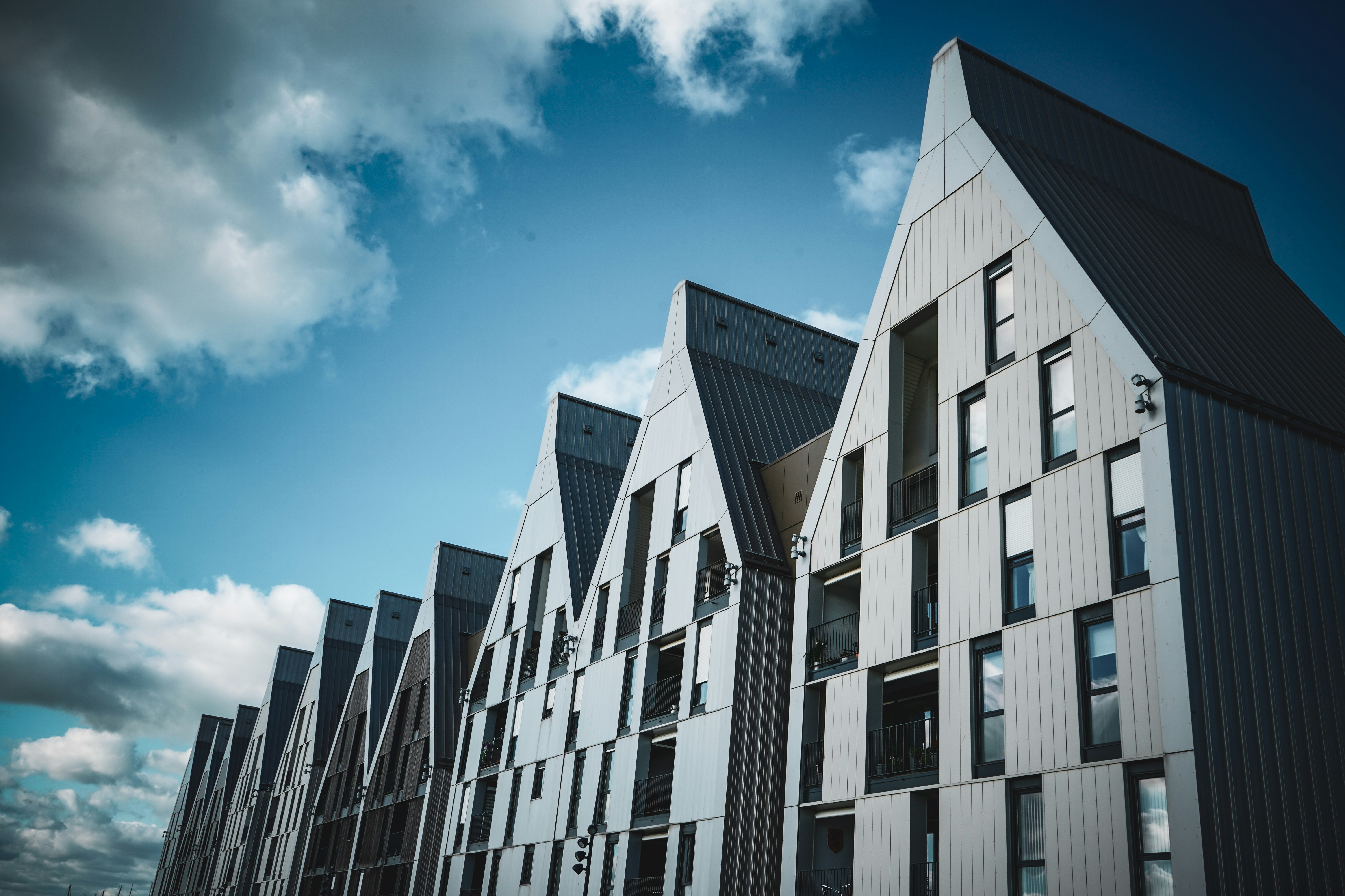 Photo by oyutjargalsaikhan