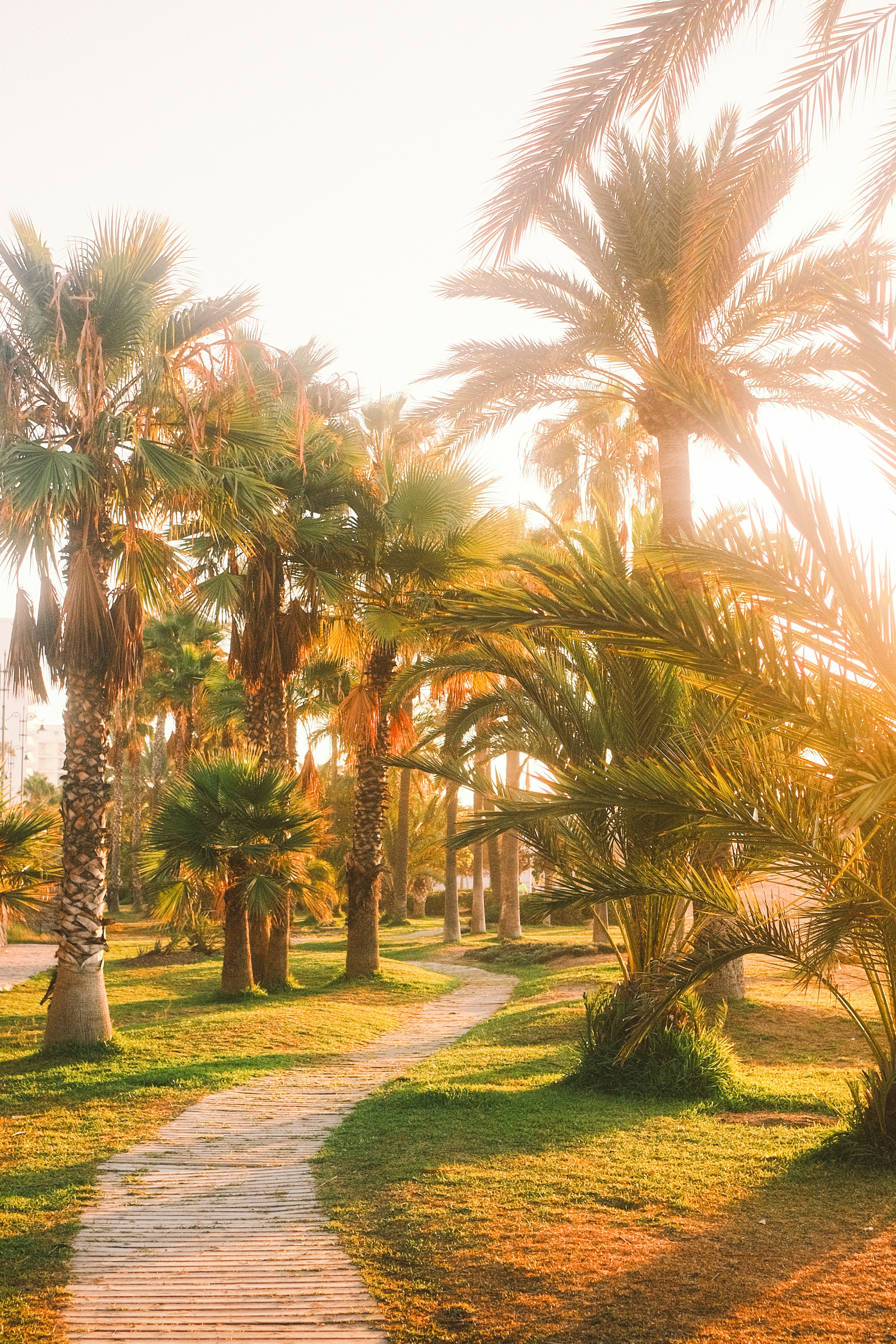 Photo by visualsbying