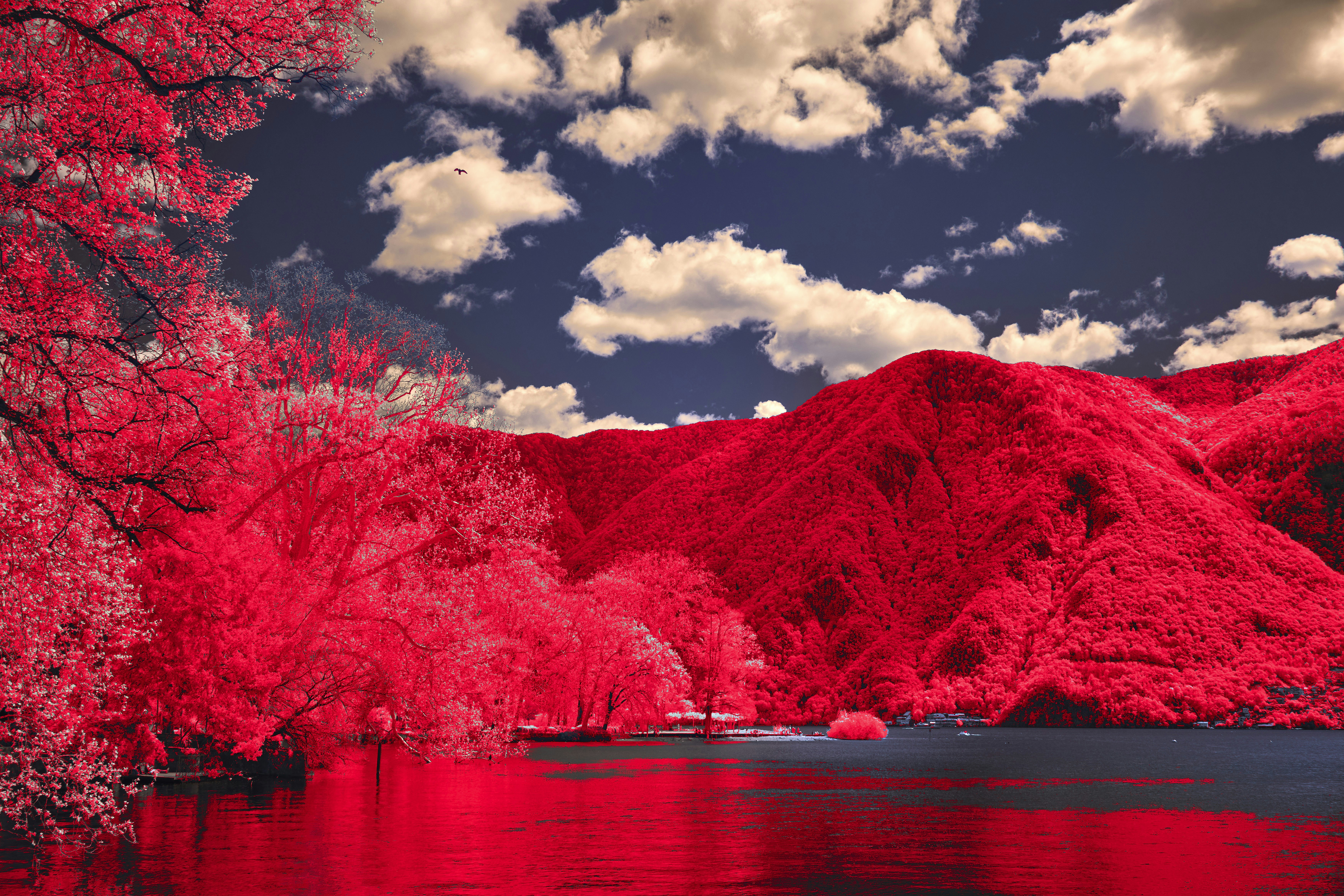 Photo by wolfgang_hasselmann