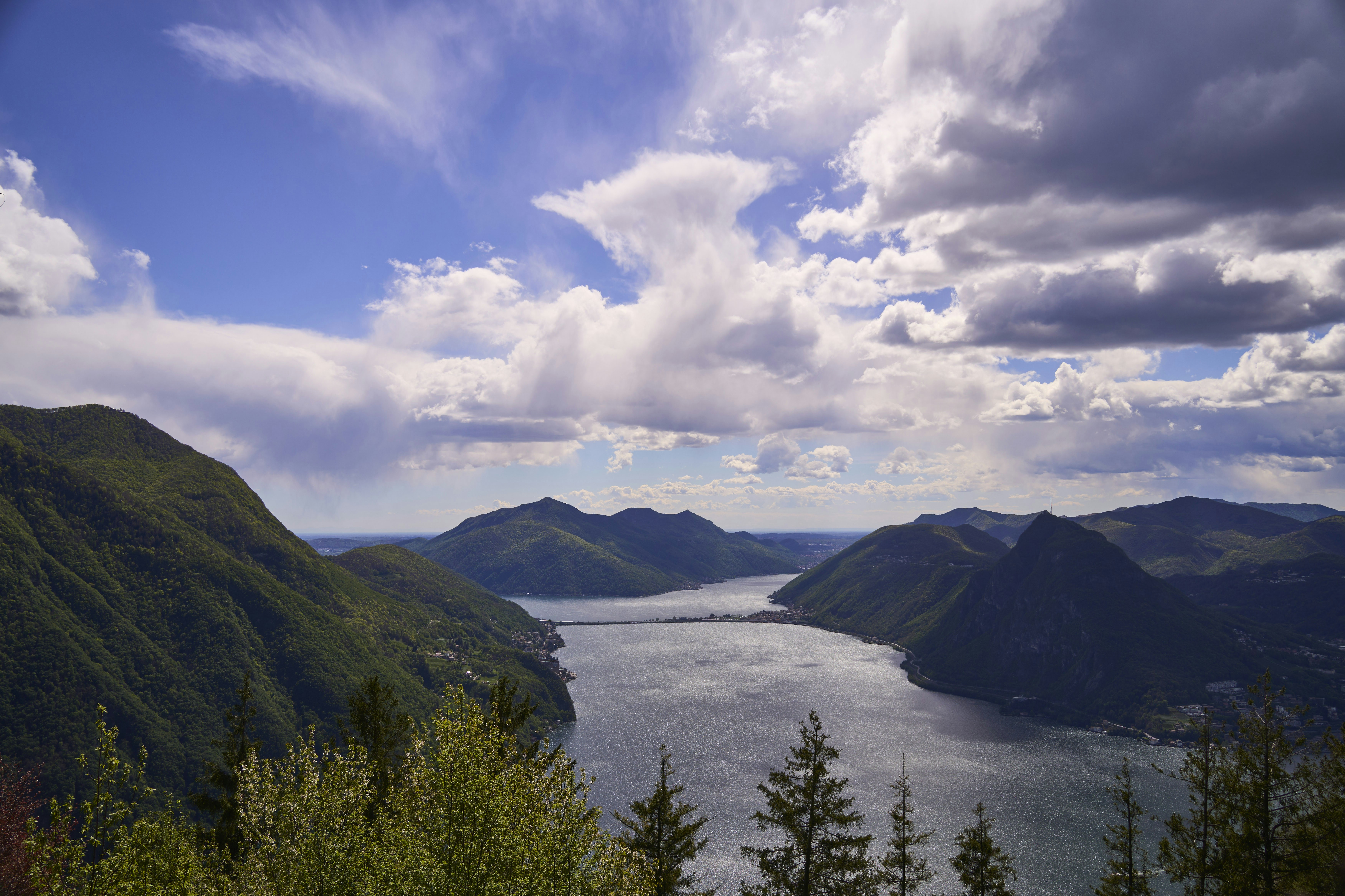 Photo by wolfgang_hasselmann