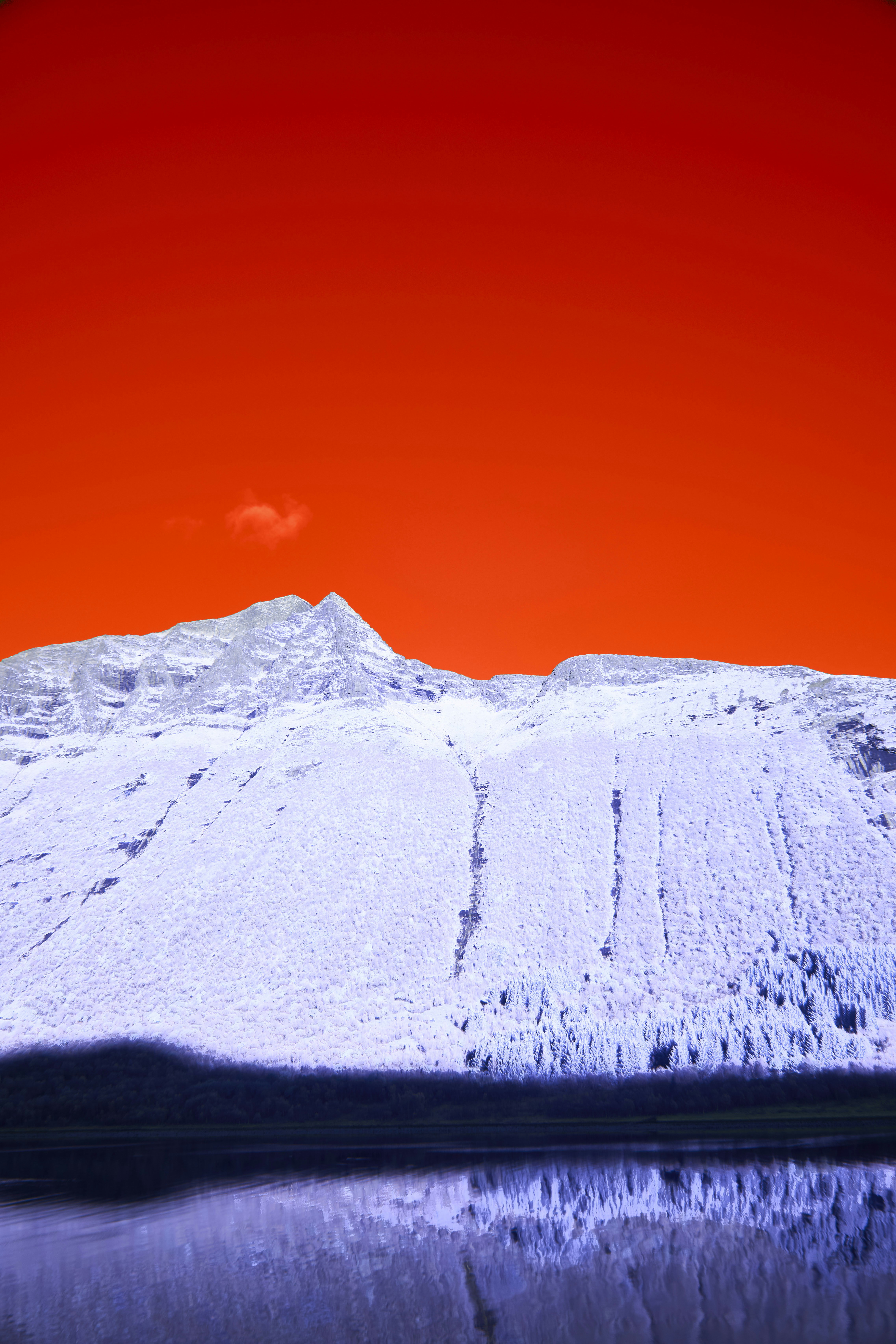 Photo by wolfgang_hasselmann