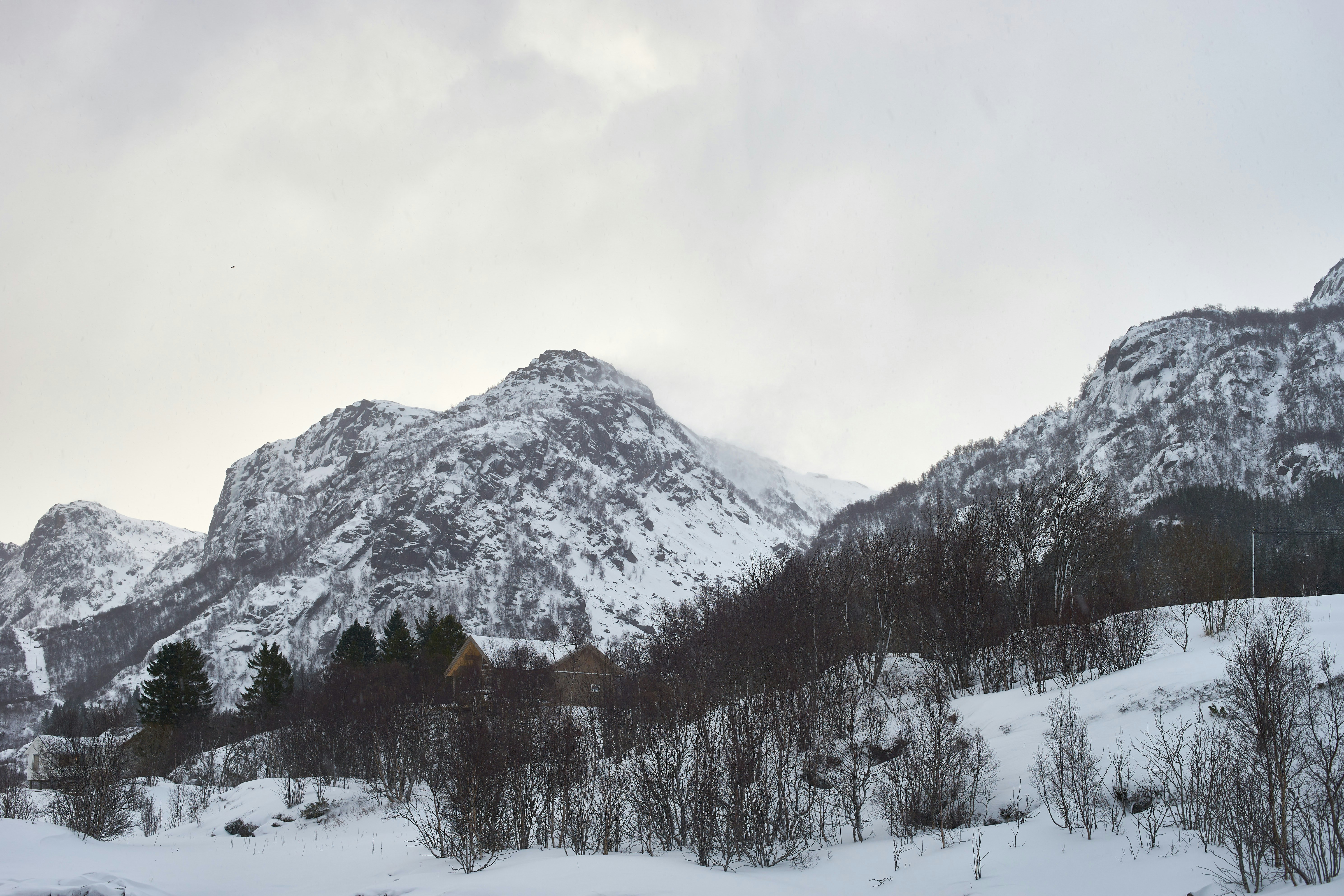 Photo by wolfgang_hasselmann