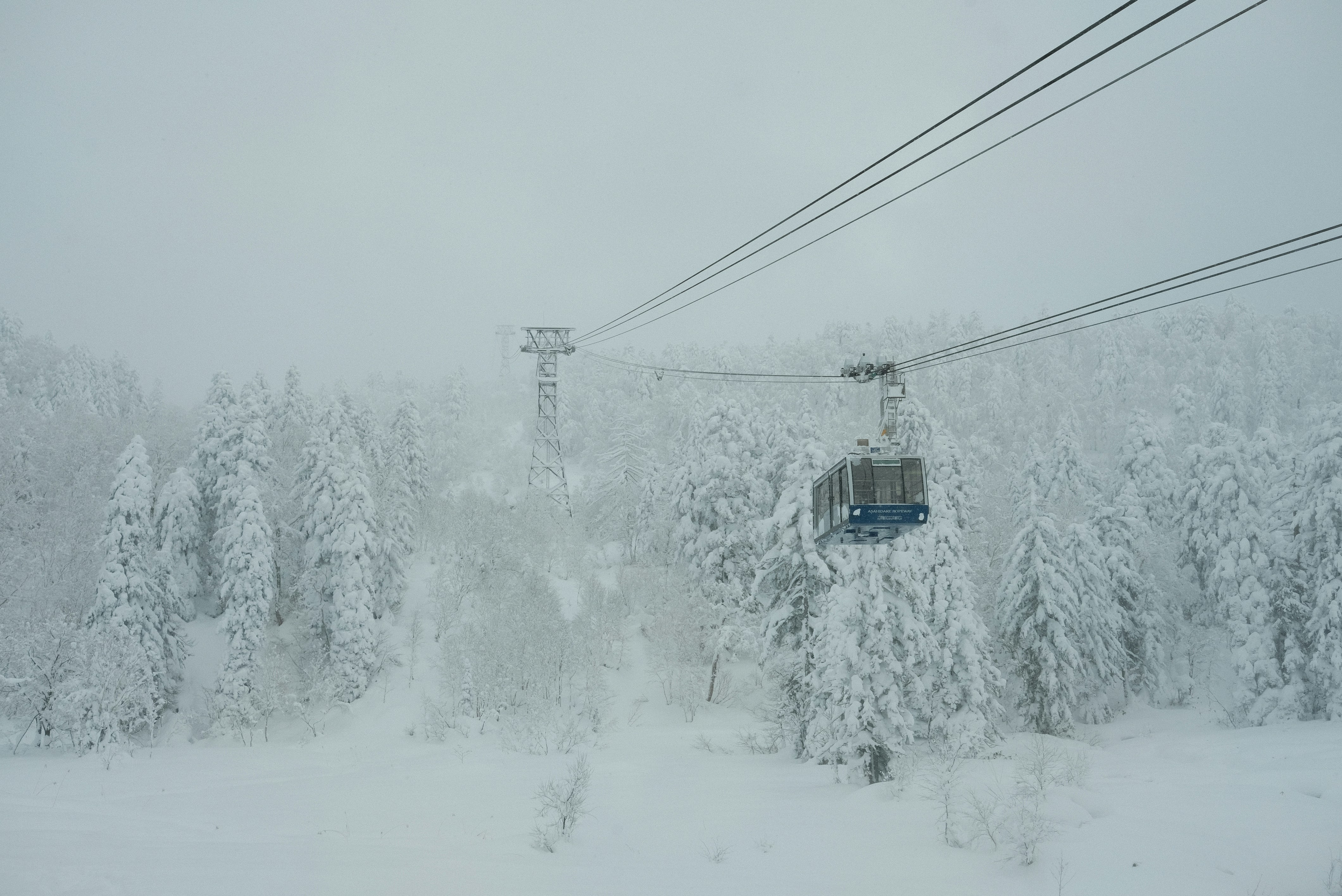 gray computer monitor