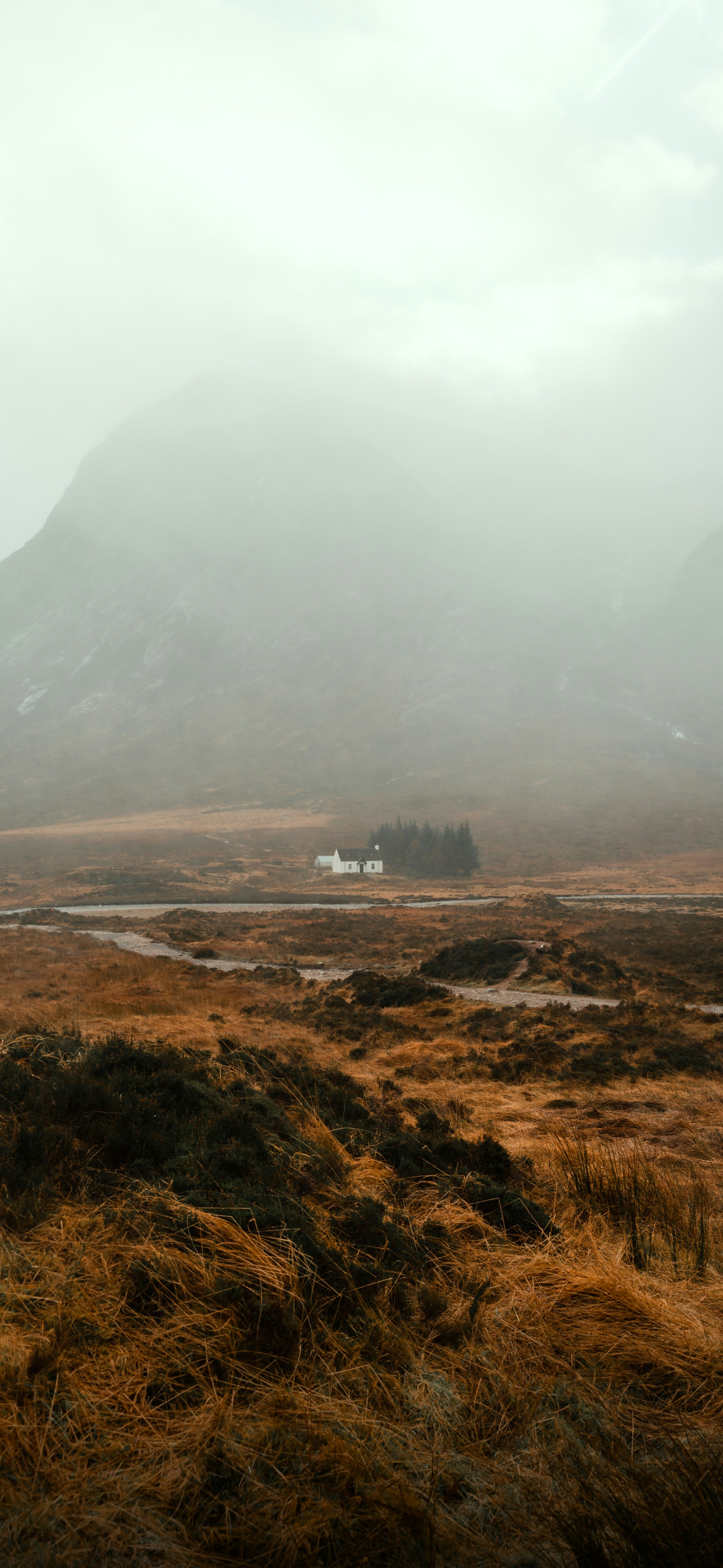 A grassy field with a mountain in the background