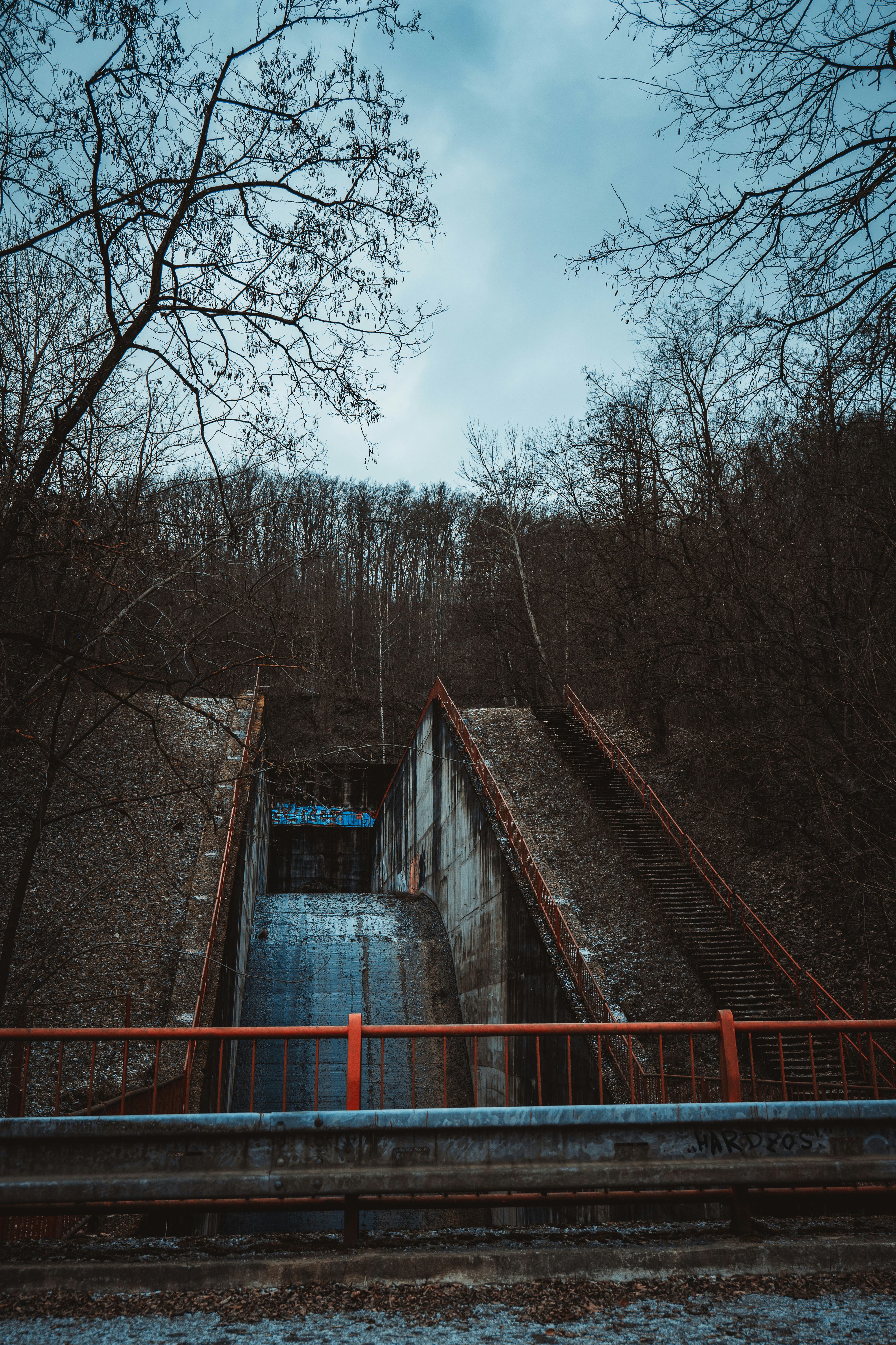 Photo by lukasparnican