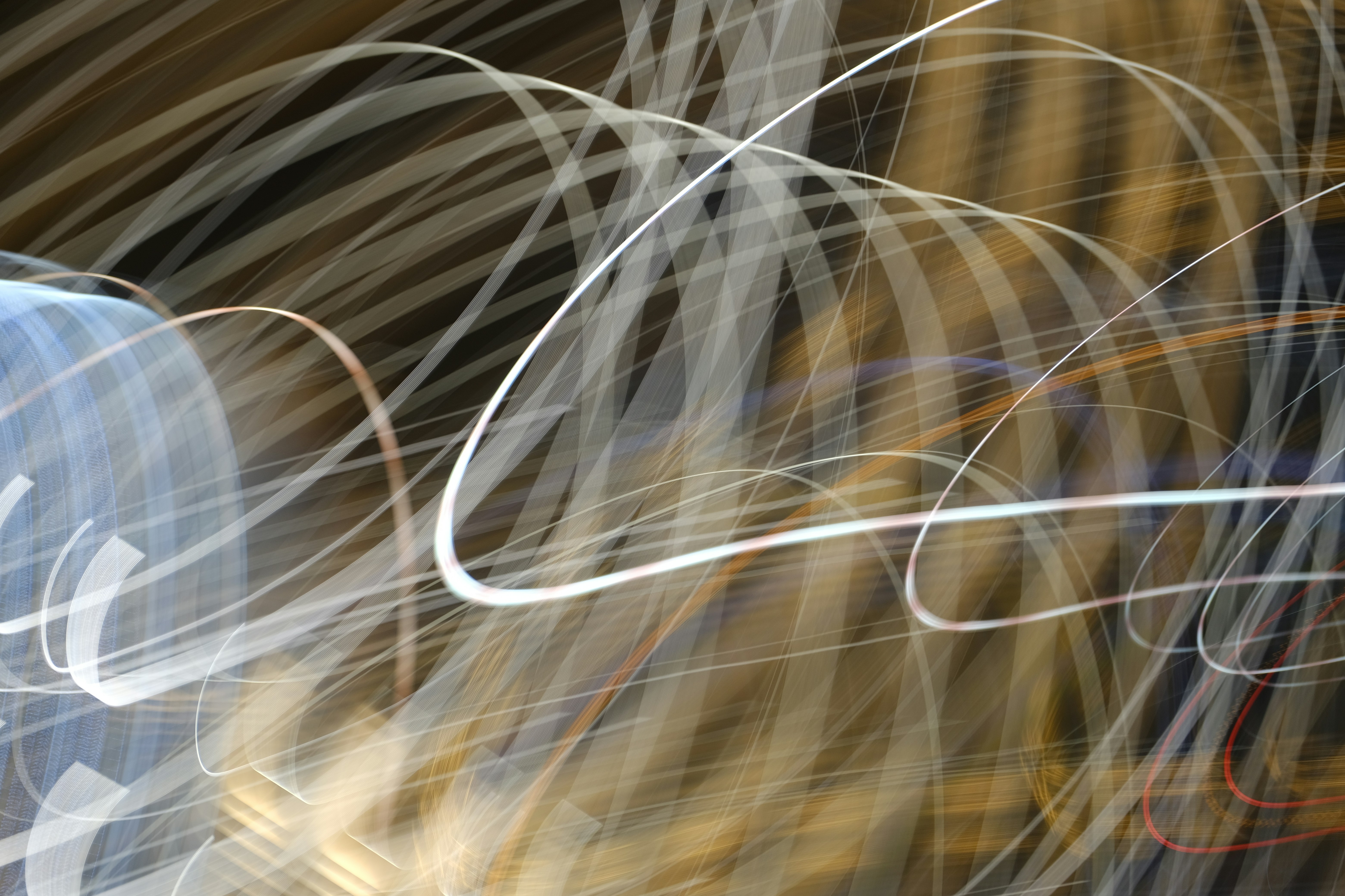 Photo by alexxingplus