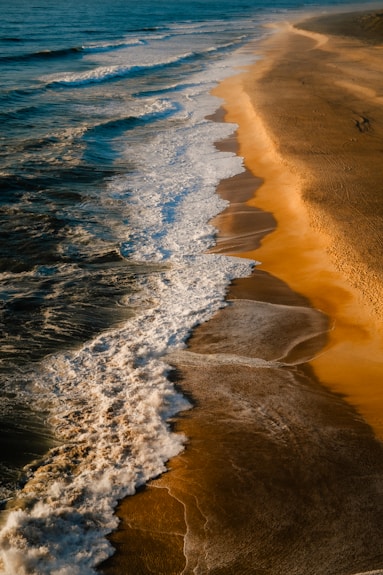 An aerial view of a sandy beach and ocean