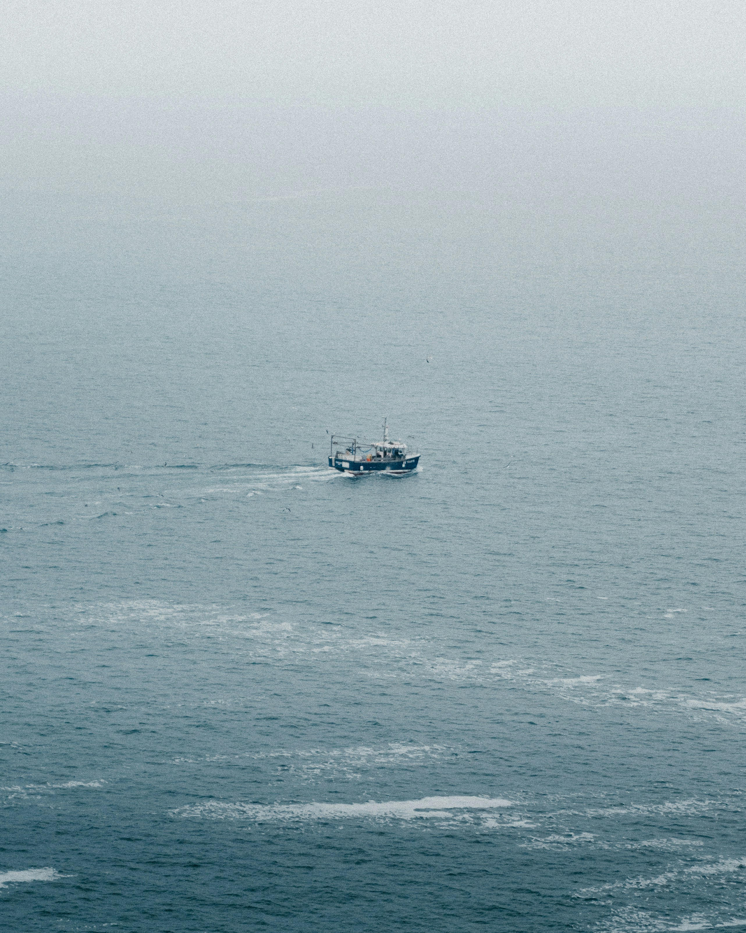 Photo by bruncolombo