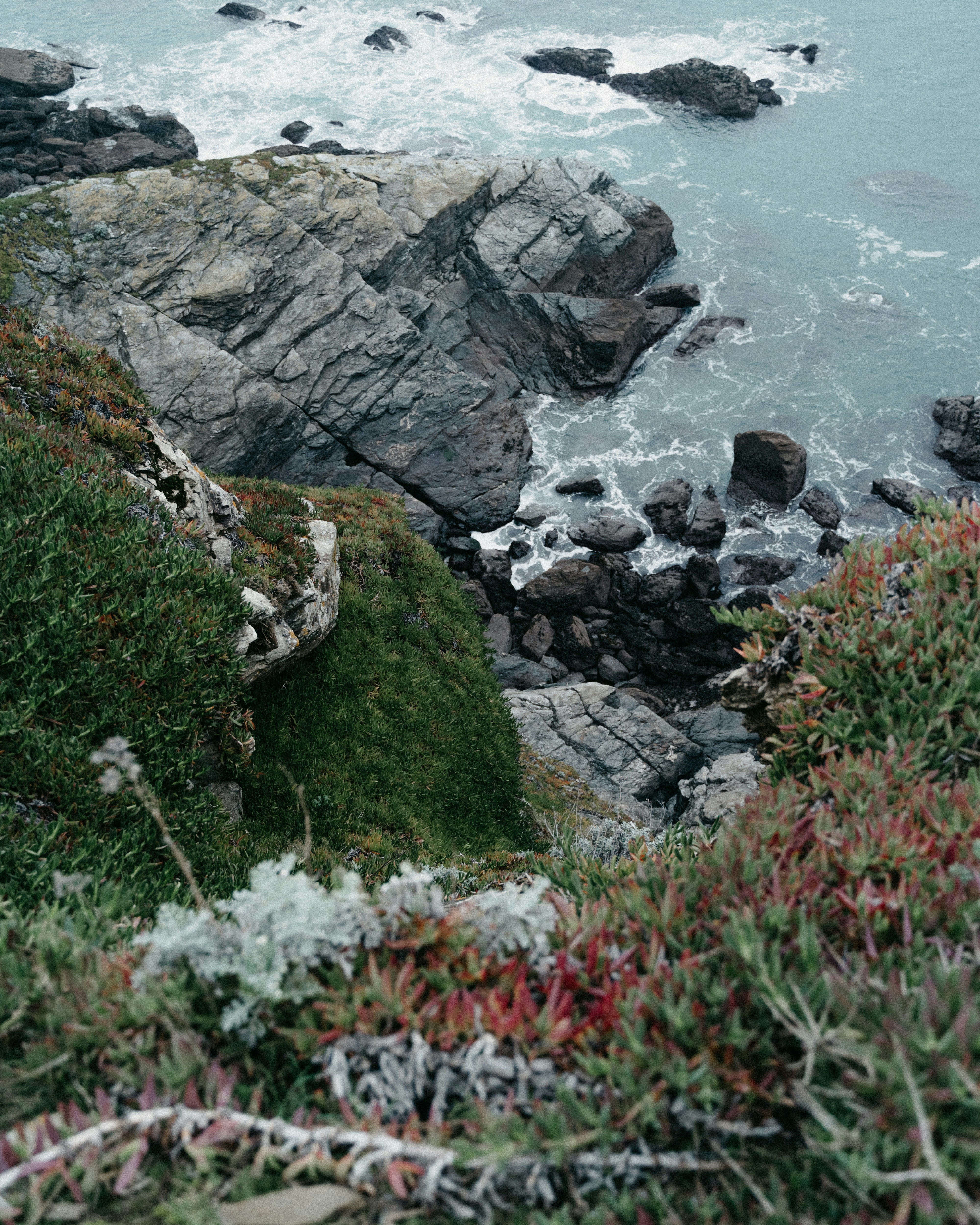 Photo by bruncolombo