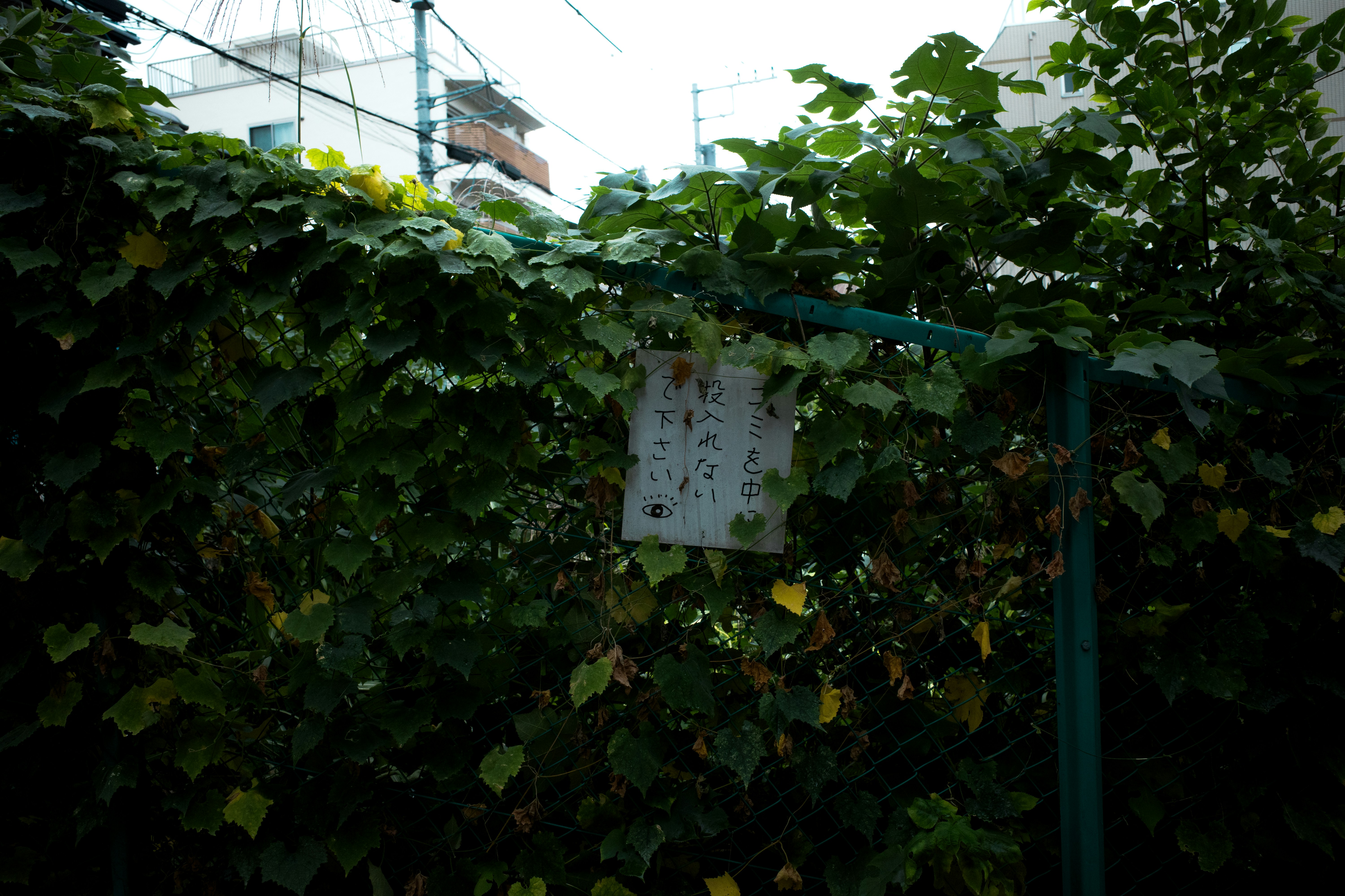 Photo by johnnyho_ho