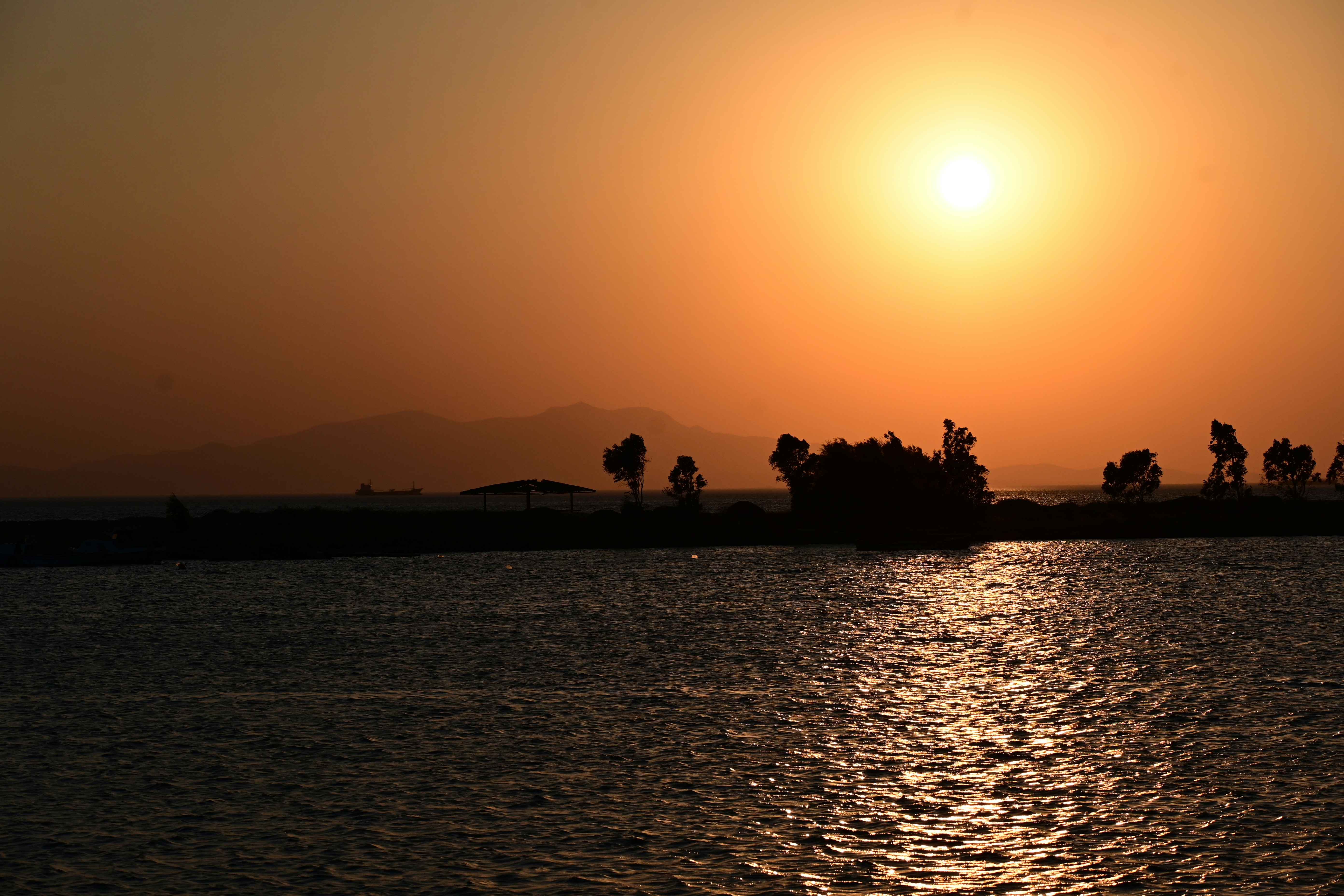 Photo by projectkeno