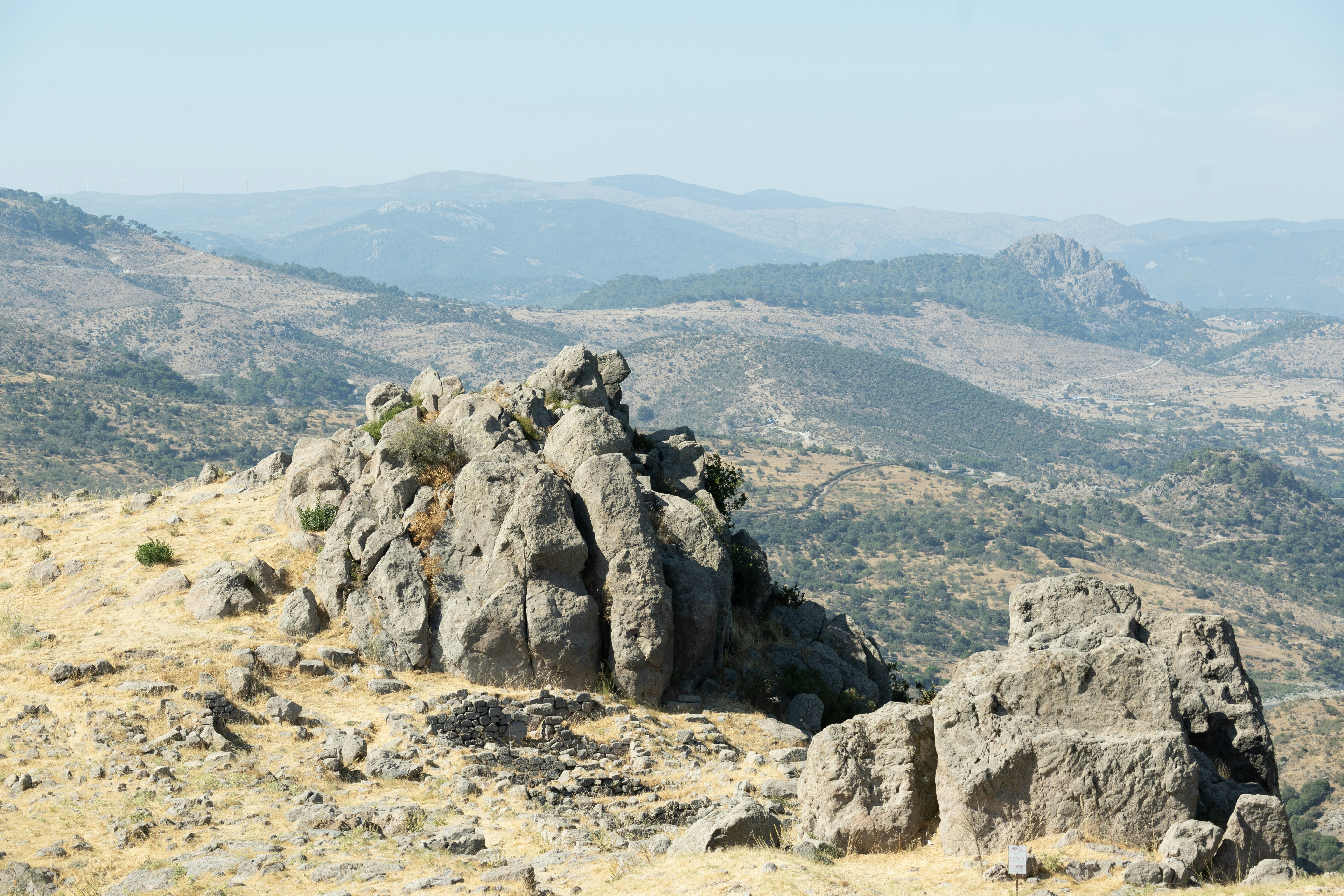 Photo by projectkeno