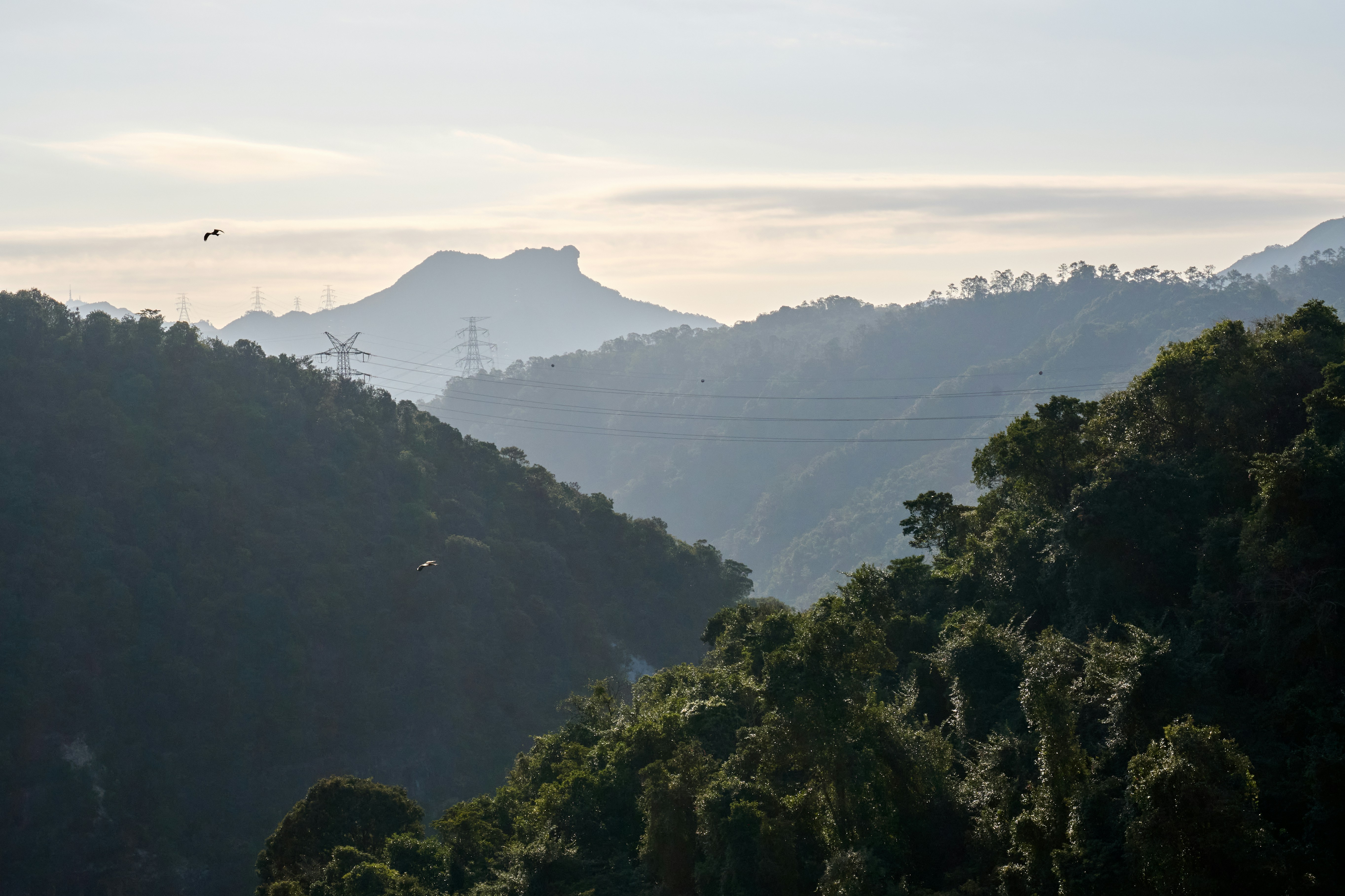 Photo by louis993546