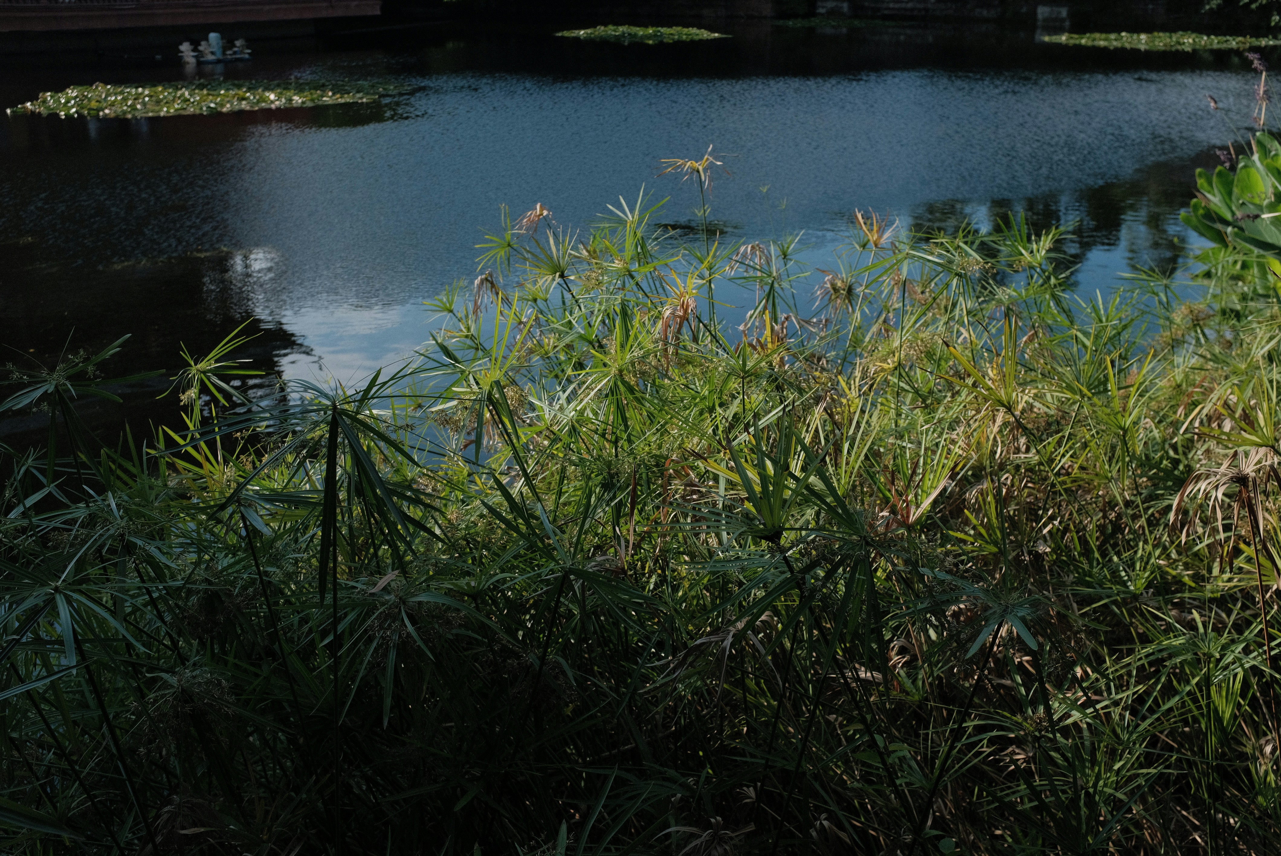 Photo by jiuxinghechu