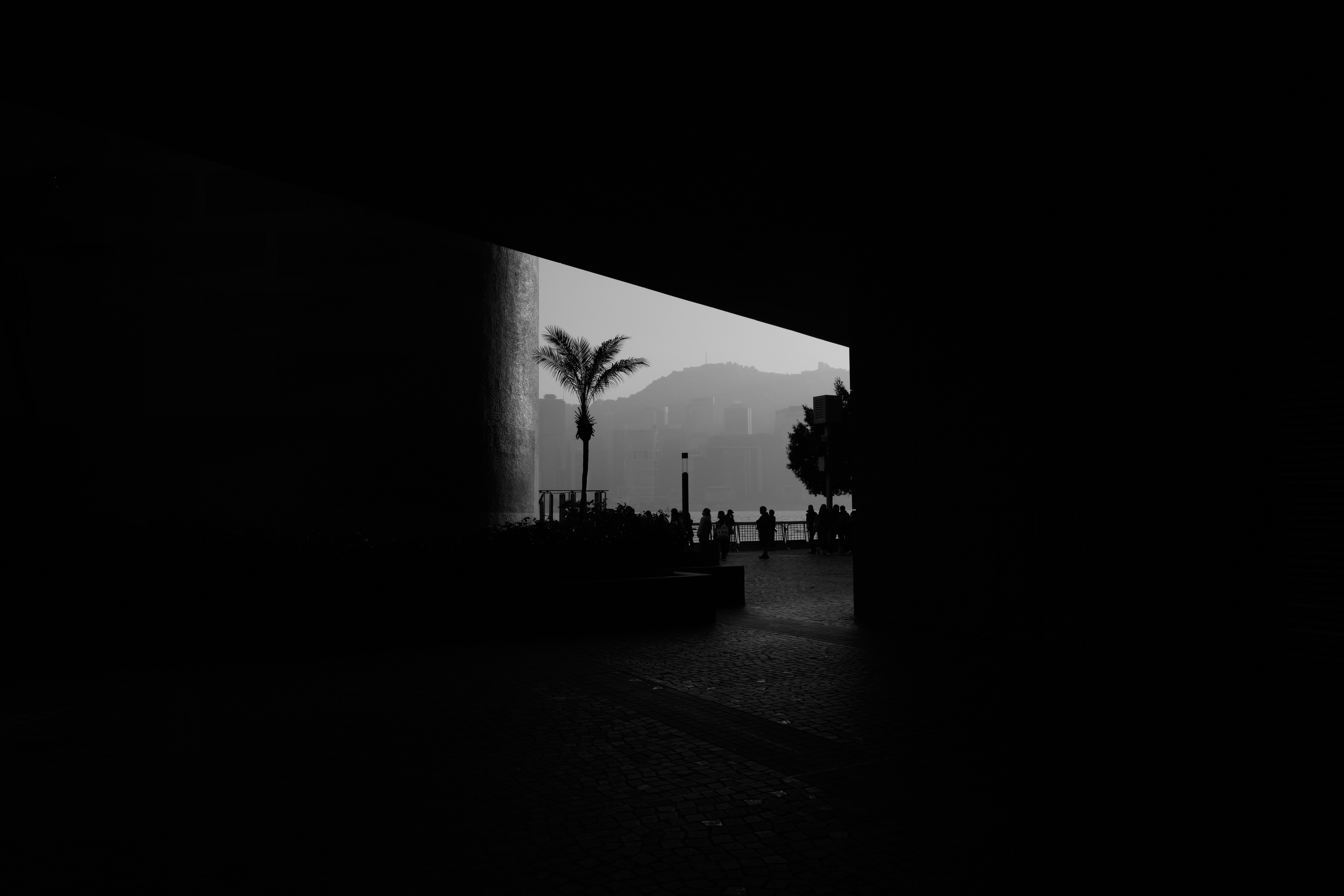 Photo by louis993546