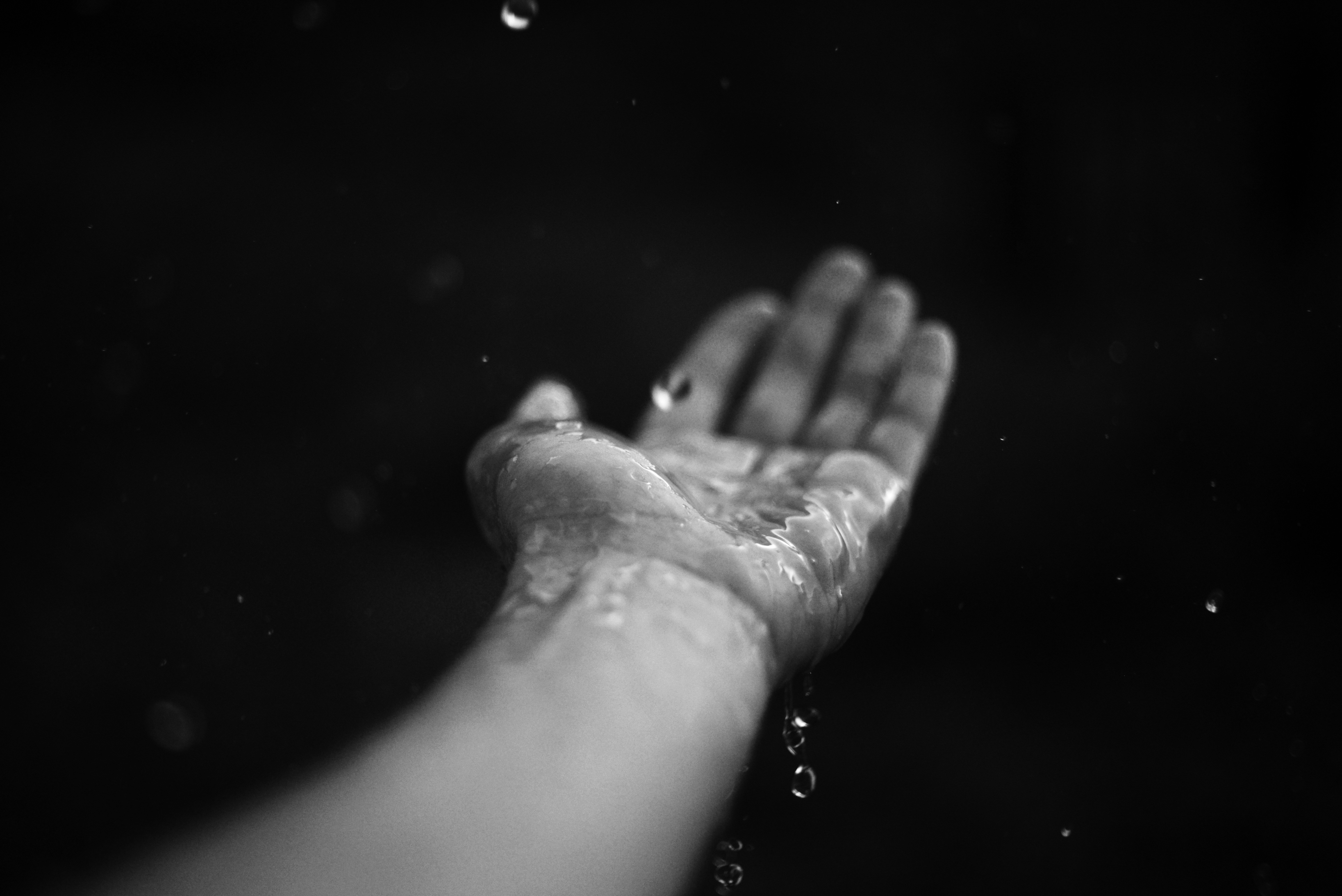 Photo by cherstve_pechivo