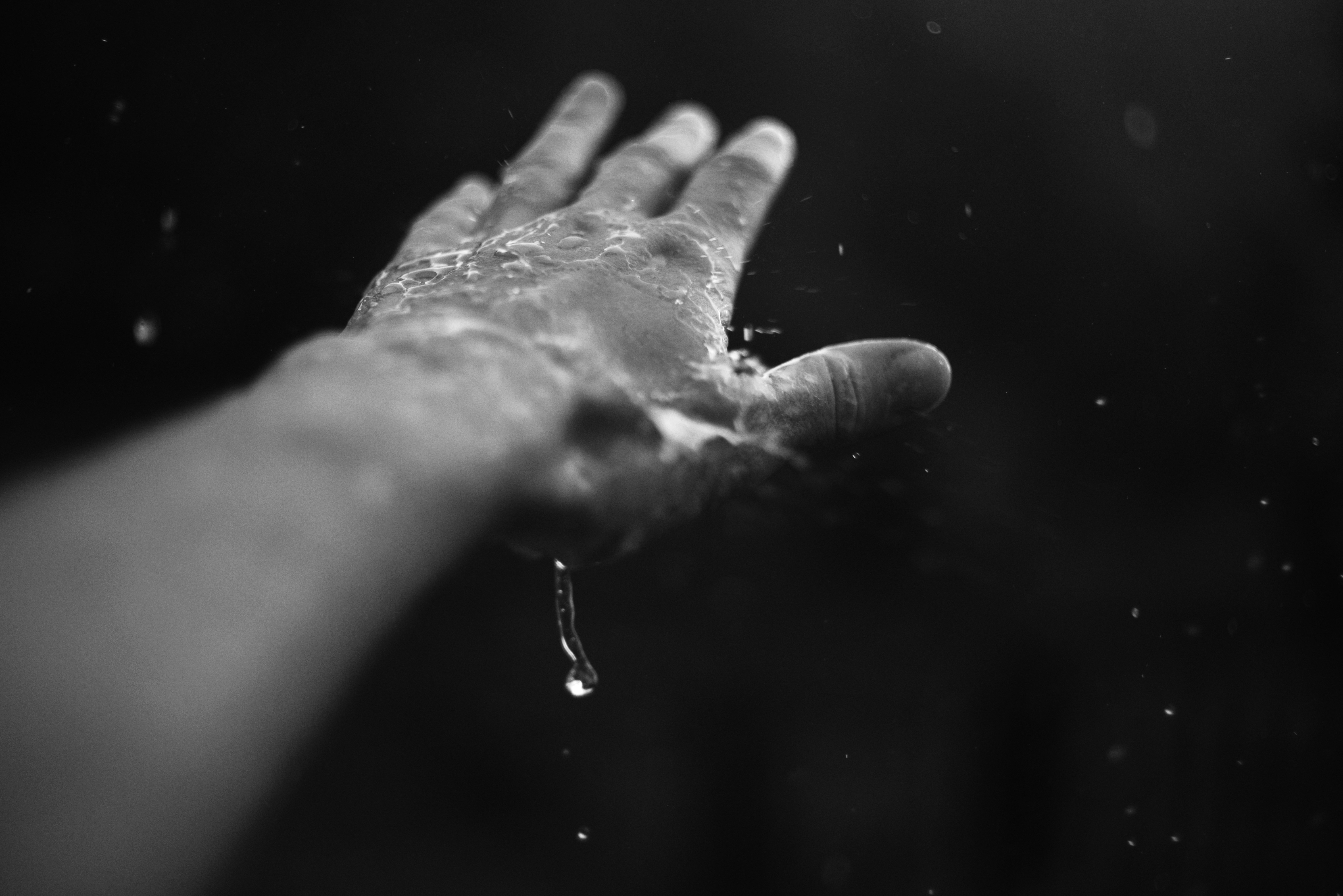 Photo by cherstve_pechivo