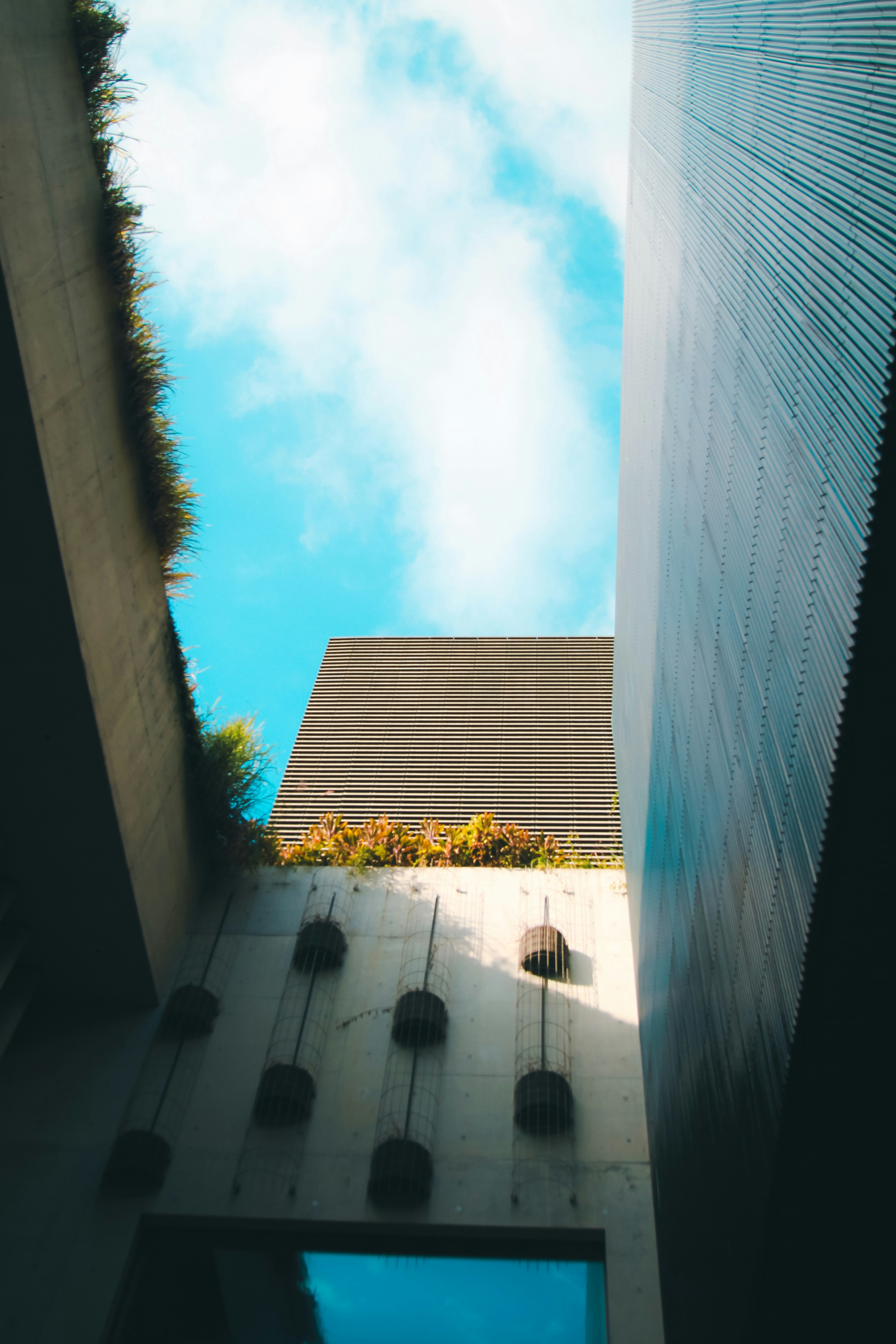 Photo by unclpenguin