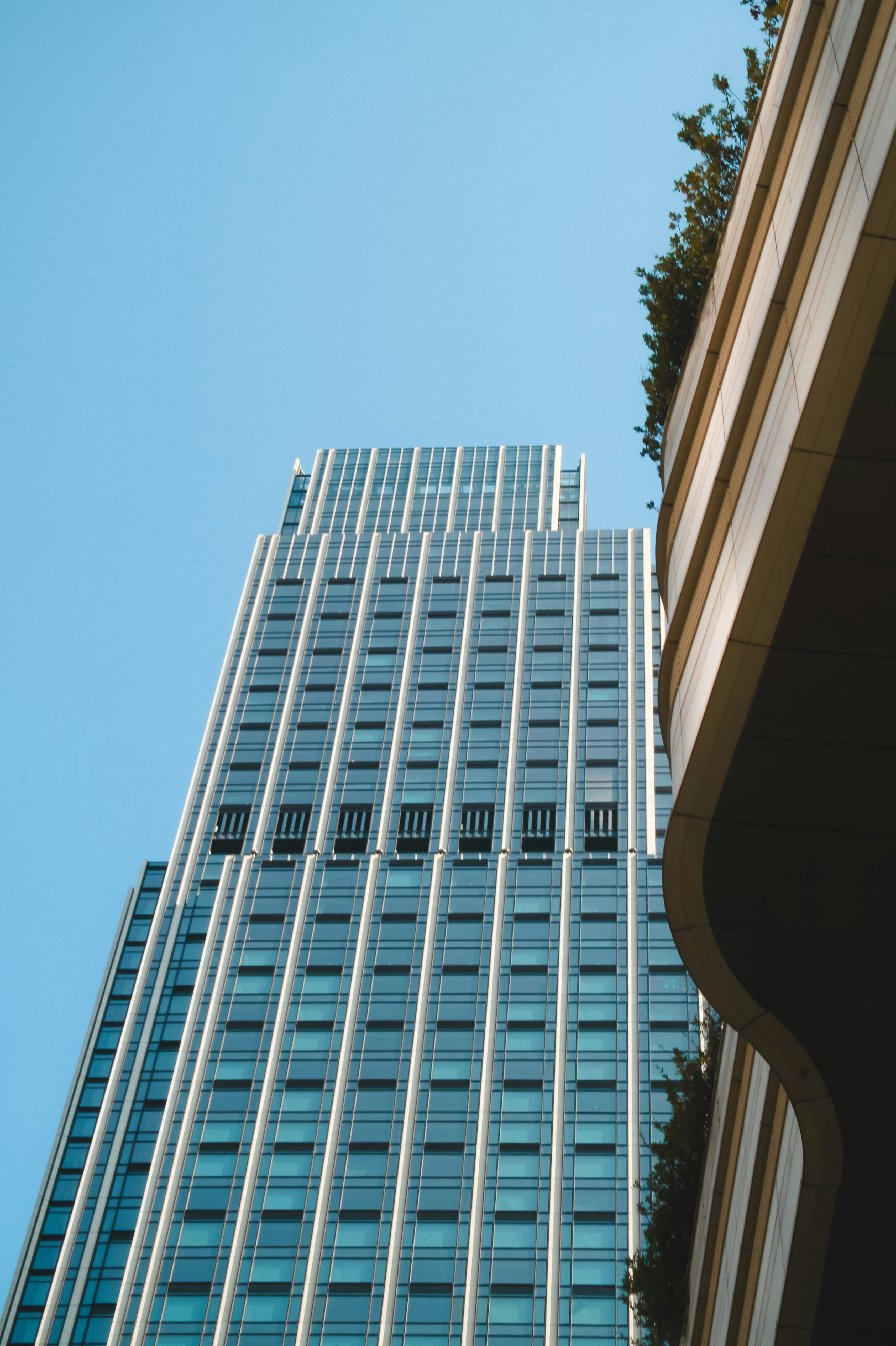 Photo by unclpenguin