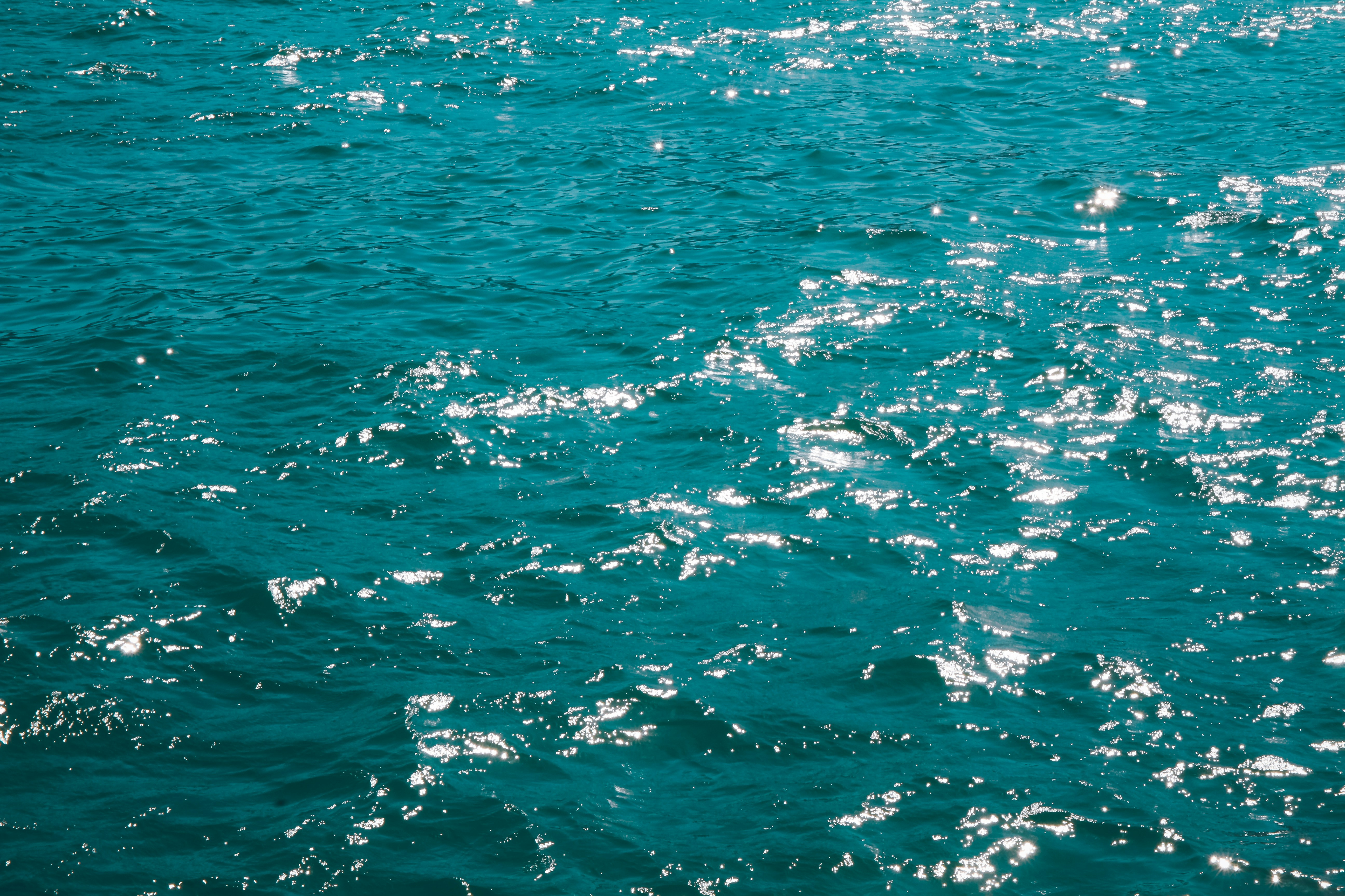 Photo by unclpenguin