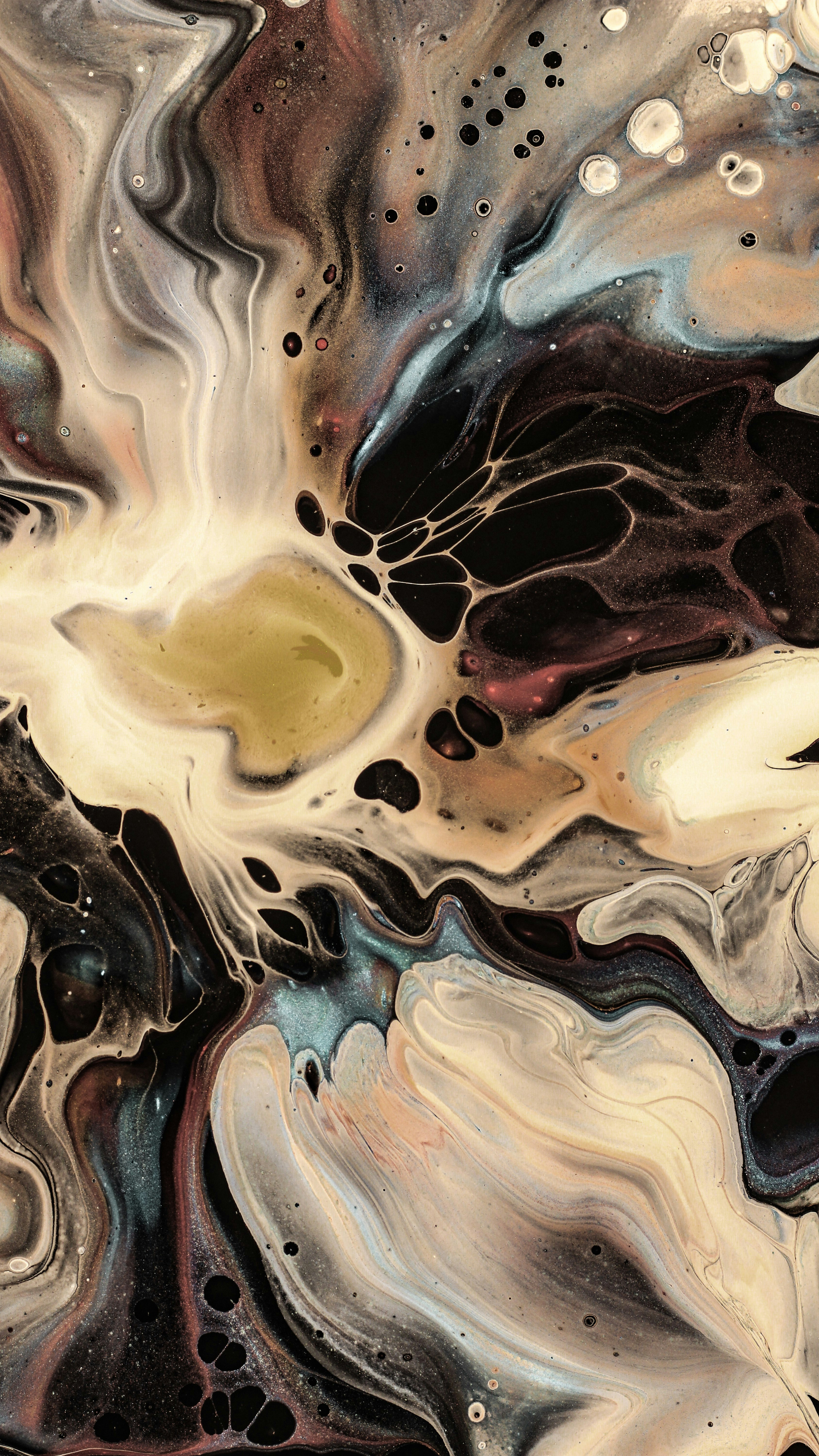 Photo by susan_wilkinson