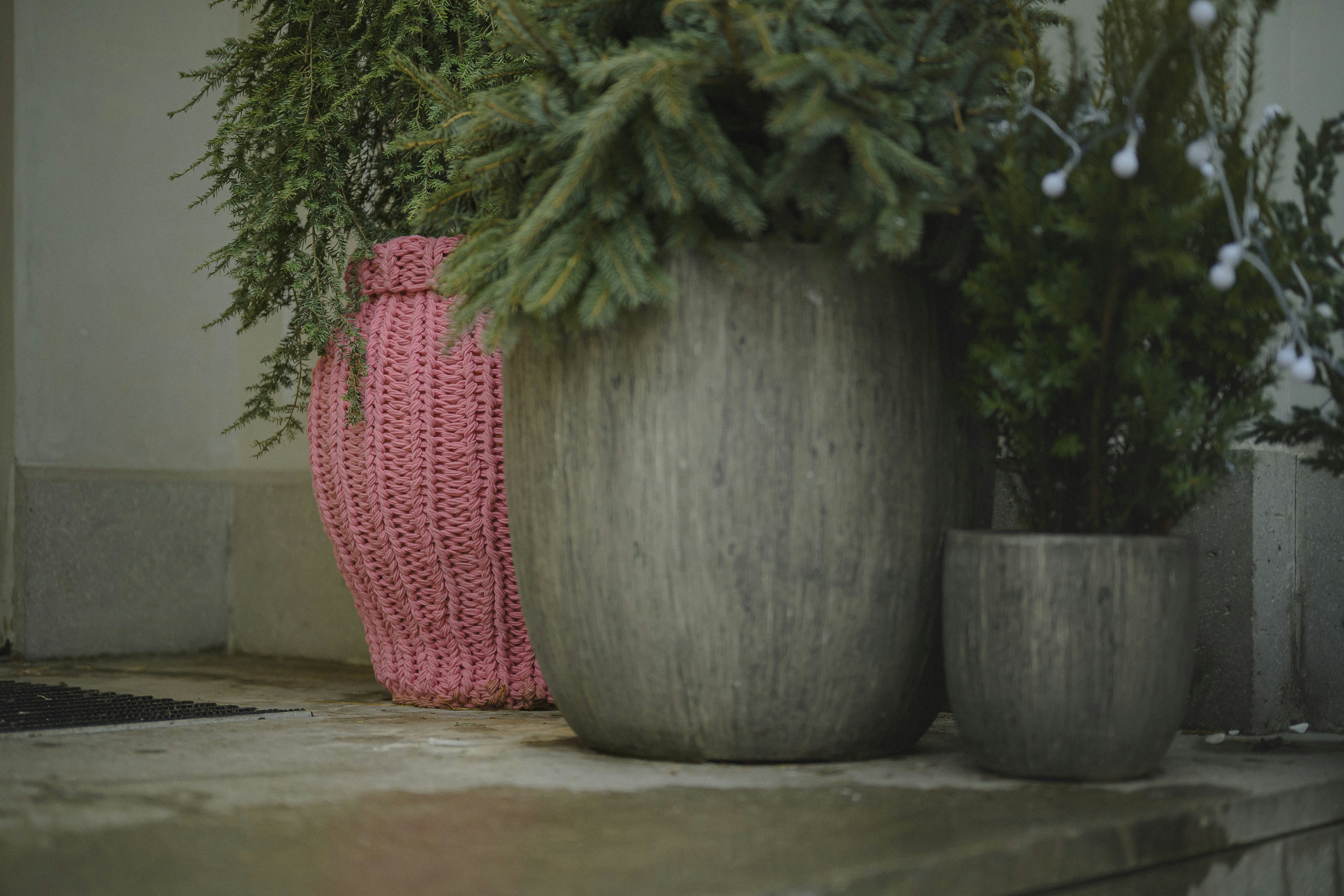 중년 다이어트, 20~30대와 무엇이 다를까?