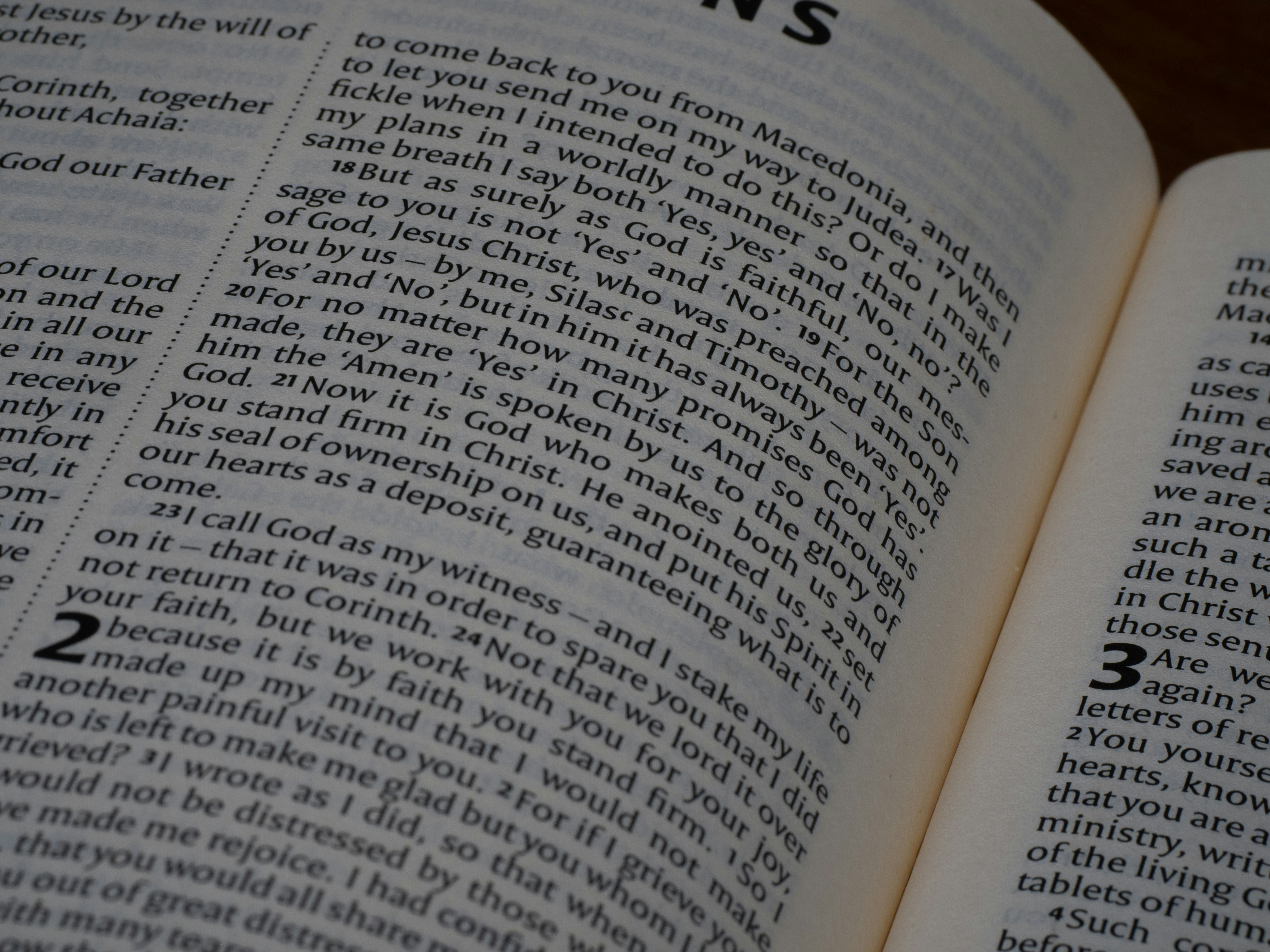 Photo by brett_jordan