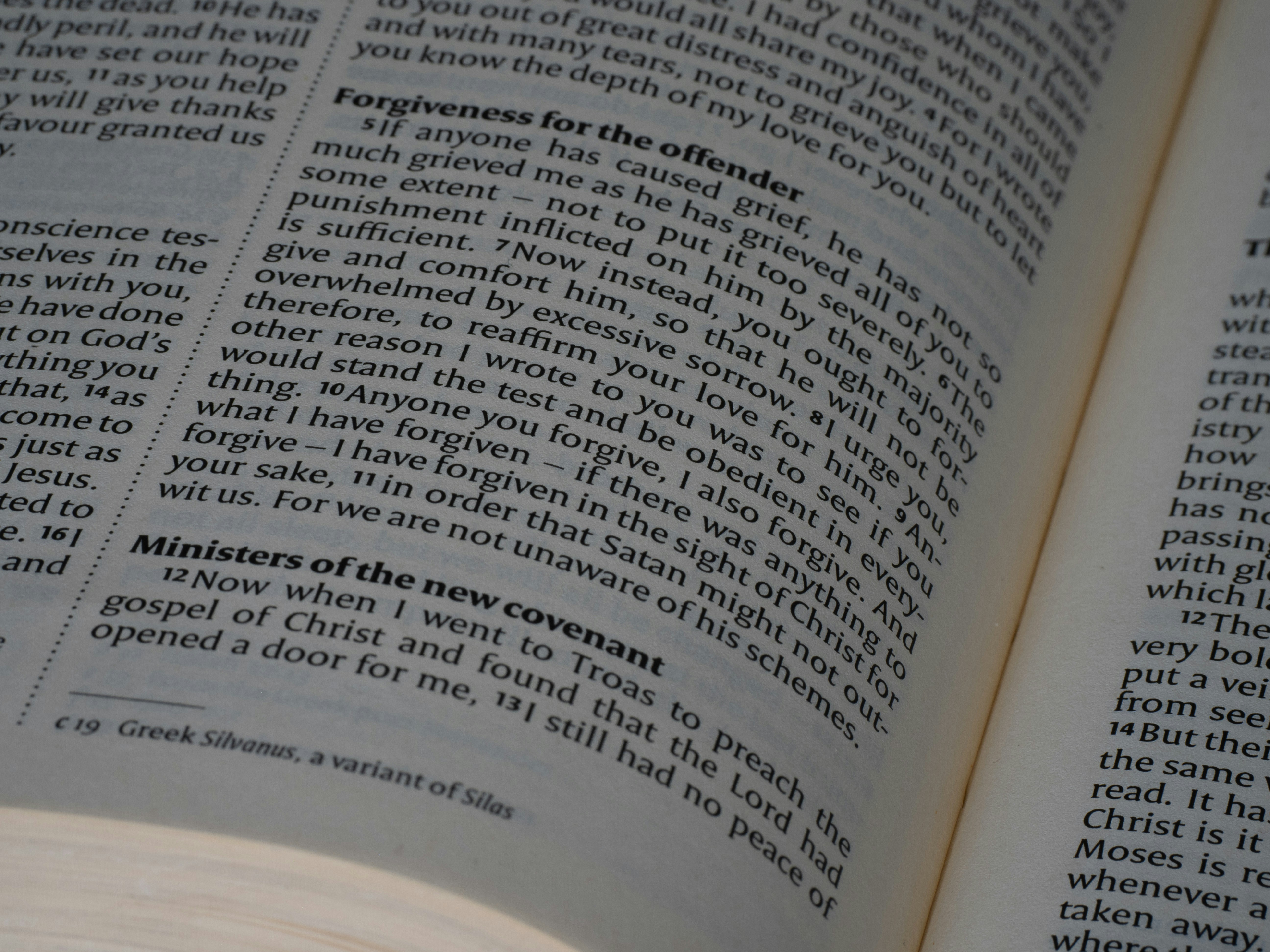 Photo by brett_jordan