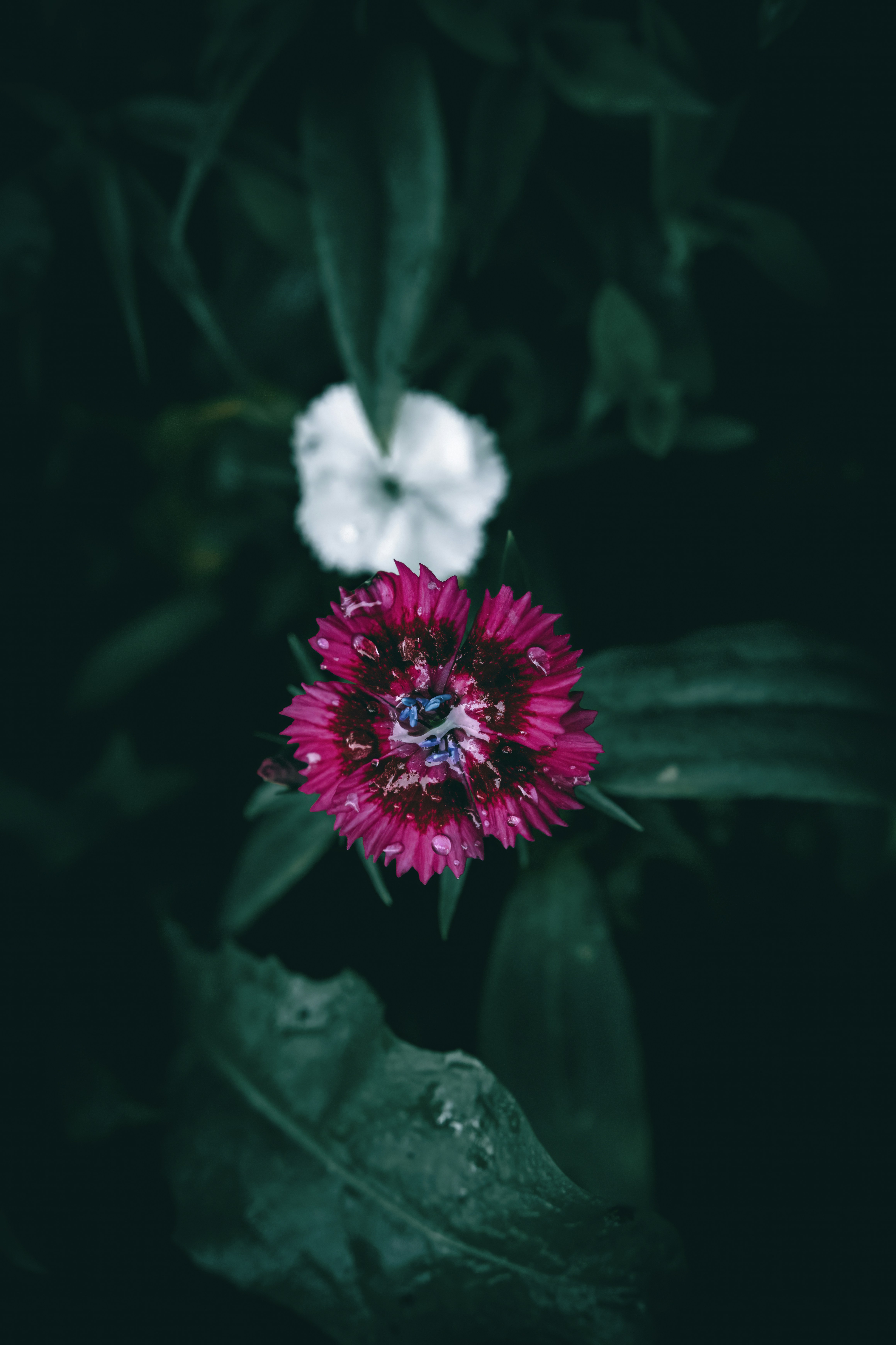Photo by wyxina