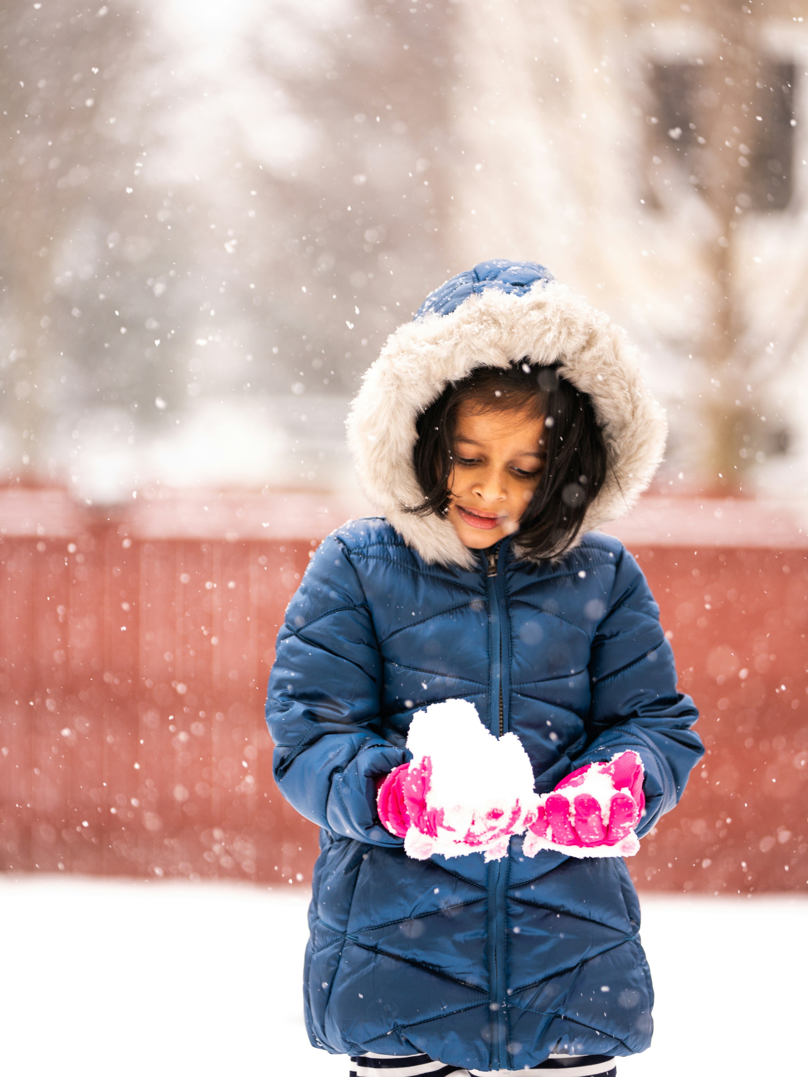 Photo by giginkrishnan