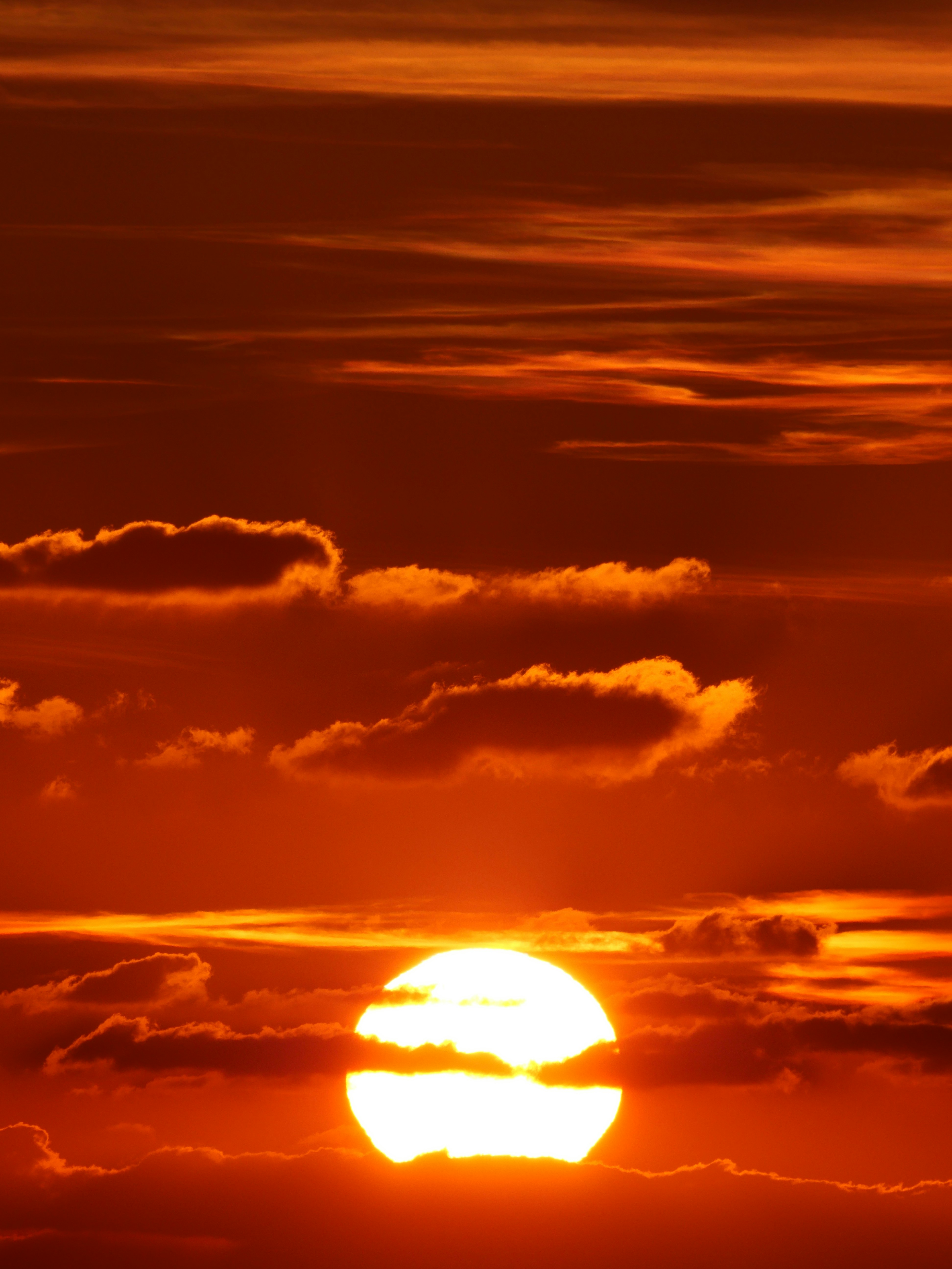 A plane flying in the sky at sunset