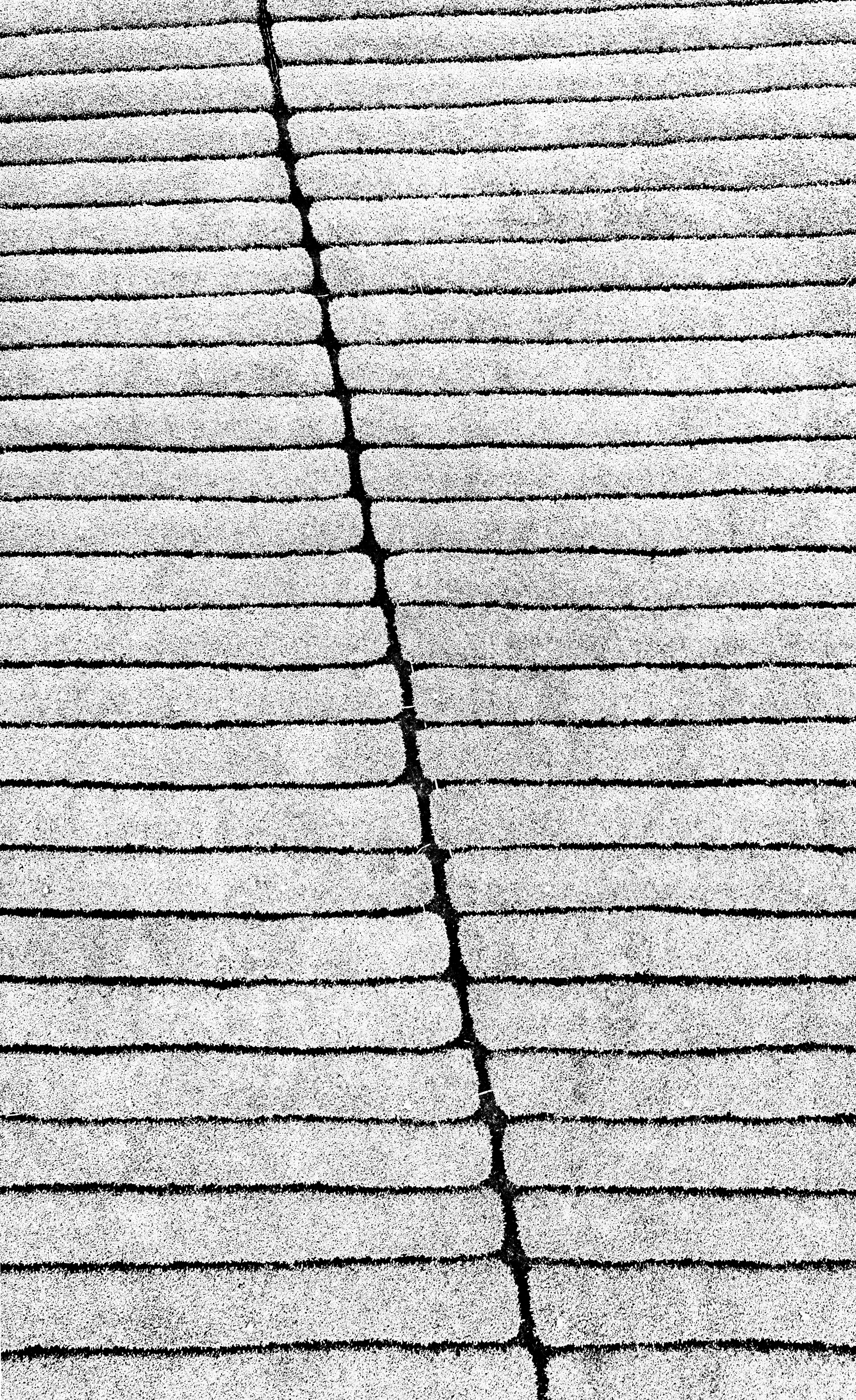 Photo by marekpiwnicki