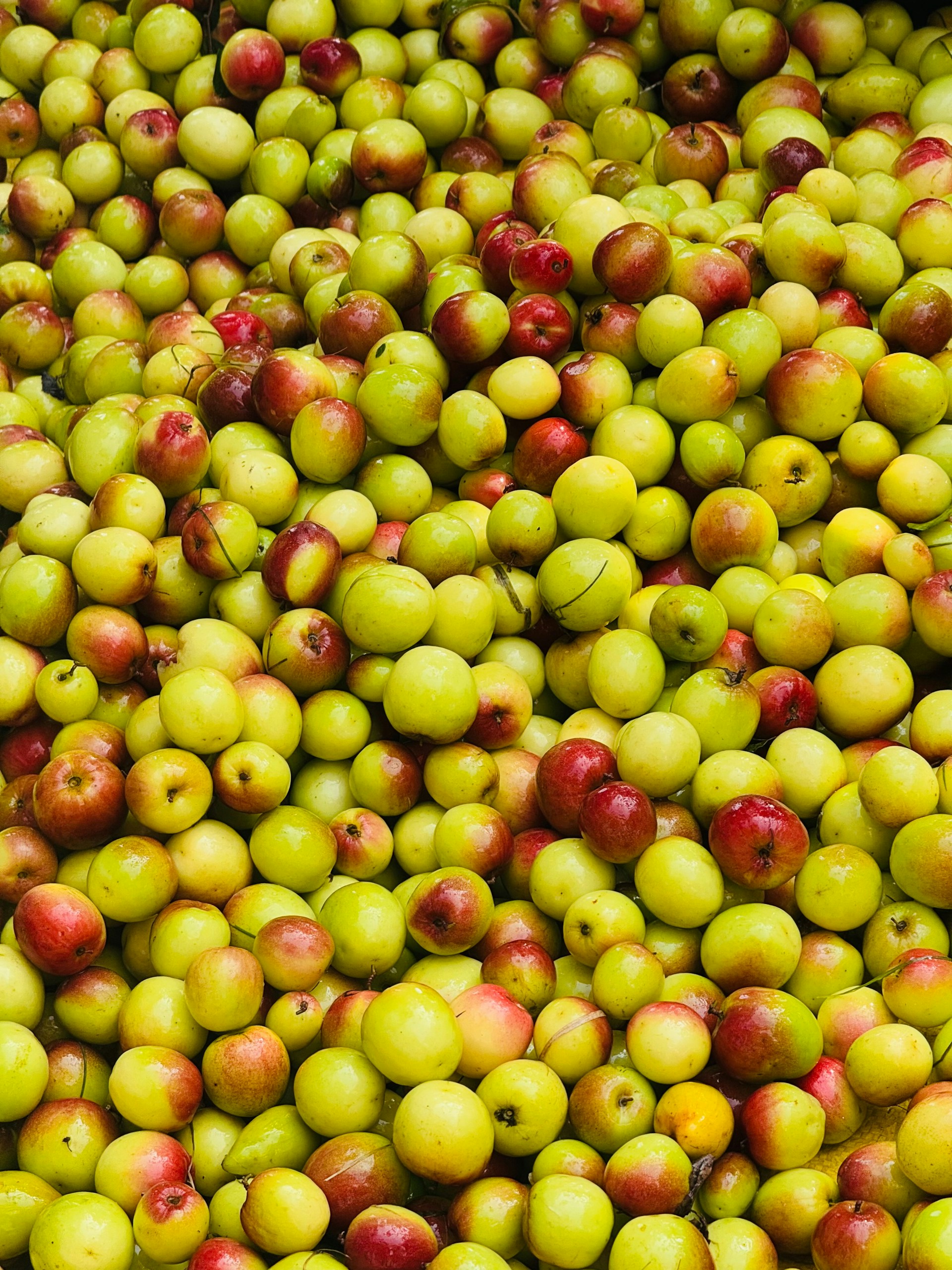 A large pile of apples sitting on top of each other