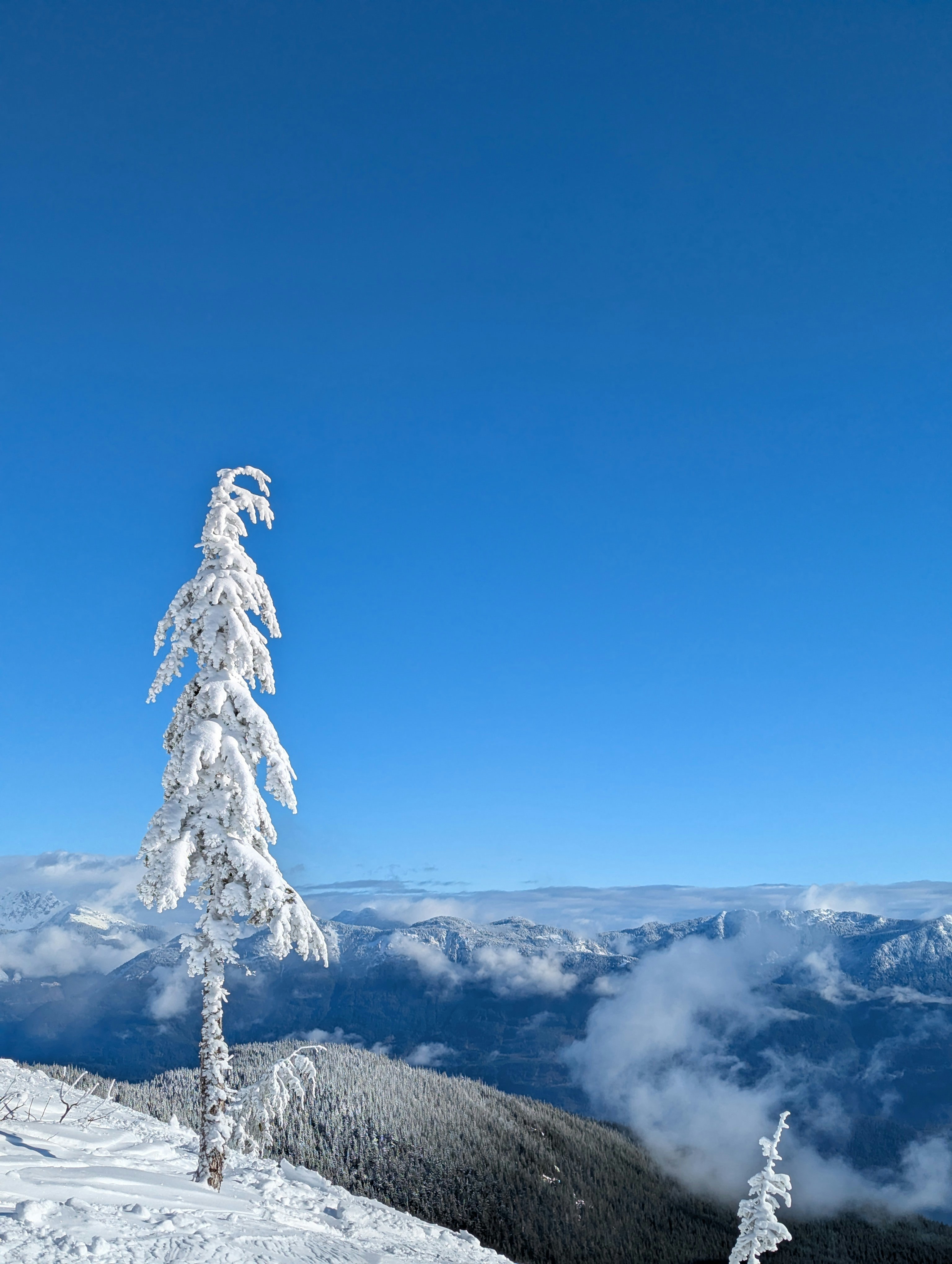 Photo by 2048megabytes