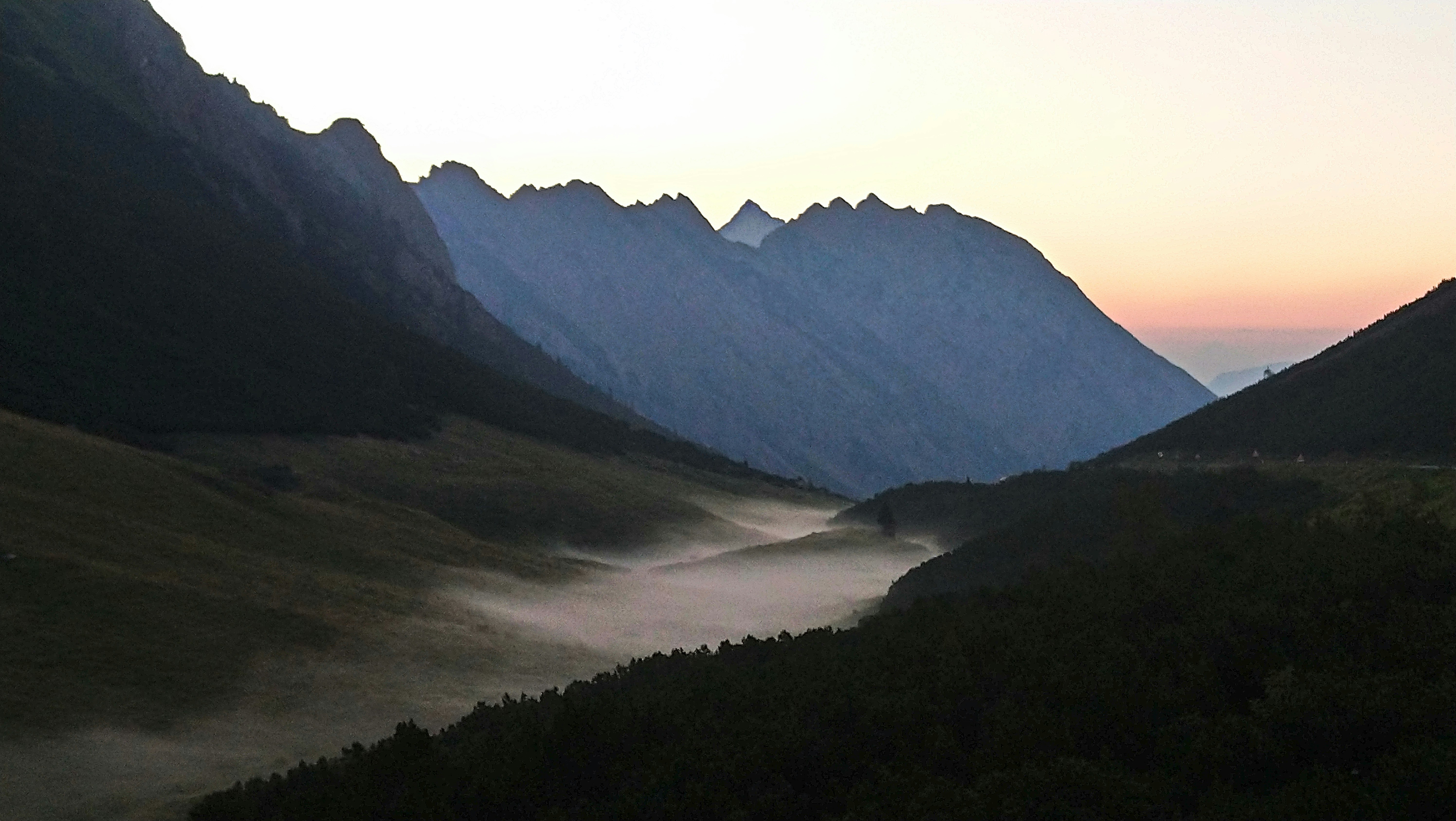 Bergatal im Morgengrauen mit Nebel, der über Bäume fließt.