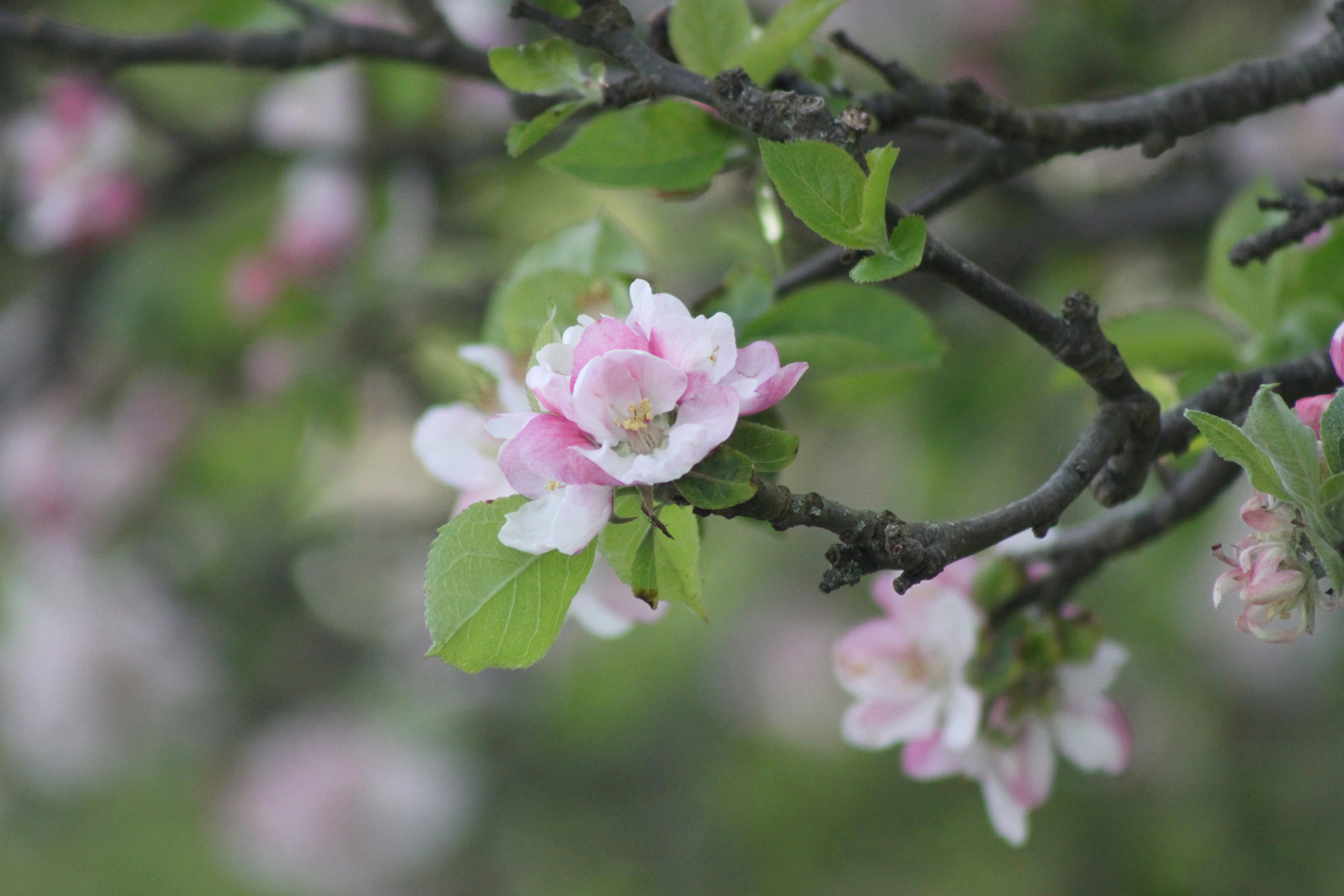 Photo by rubyphotography