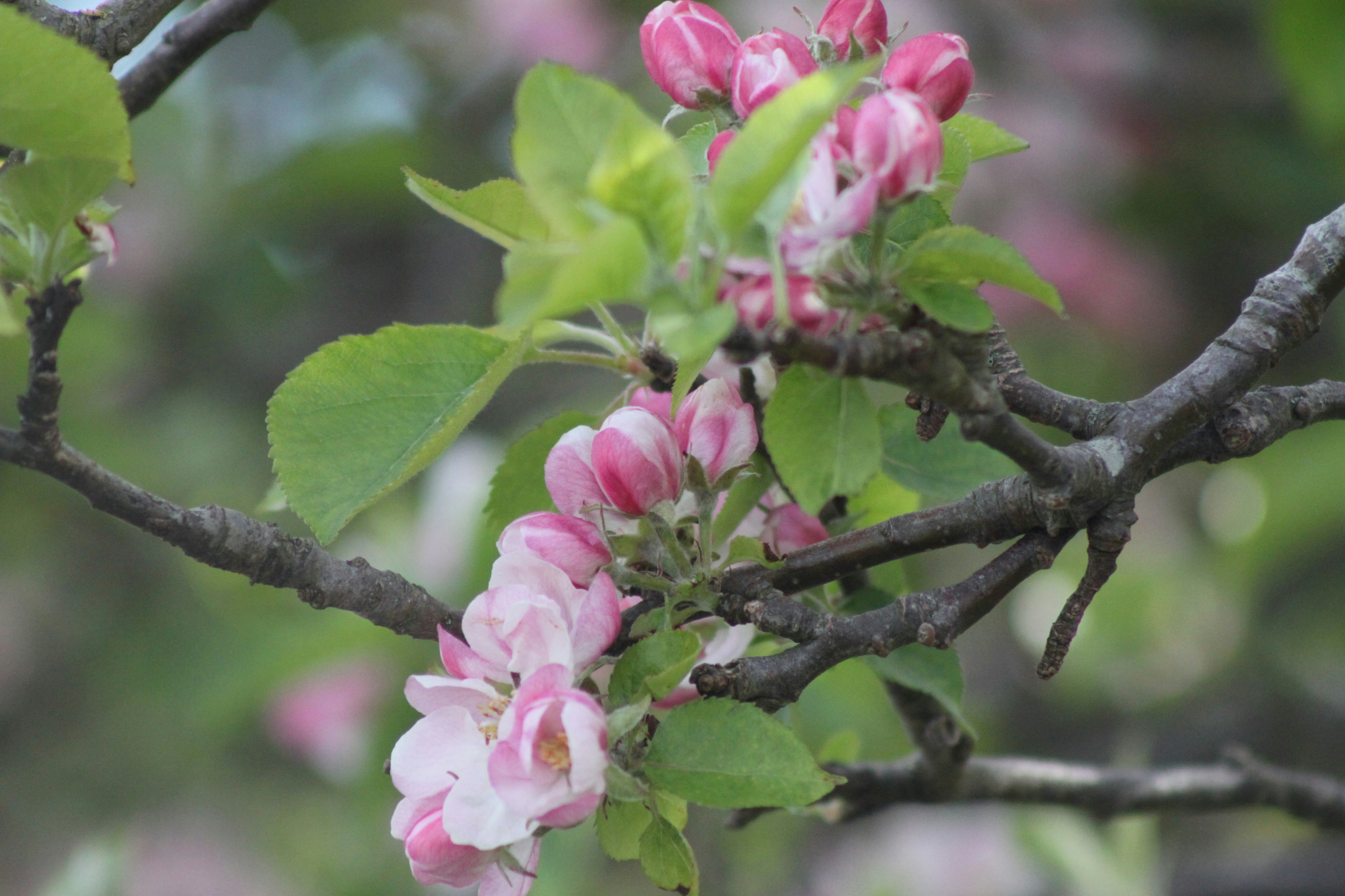 Photo by rubyphotography