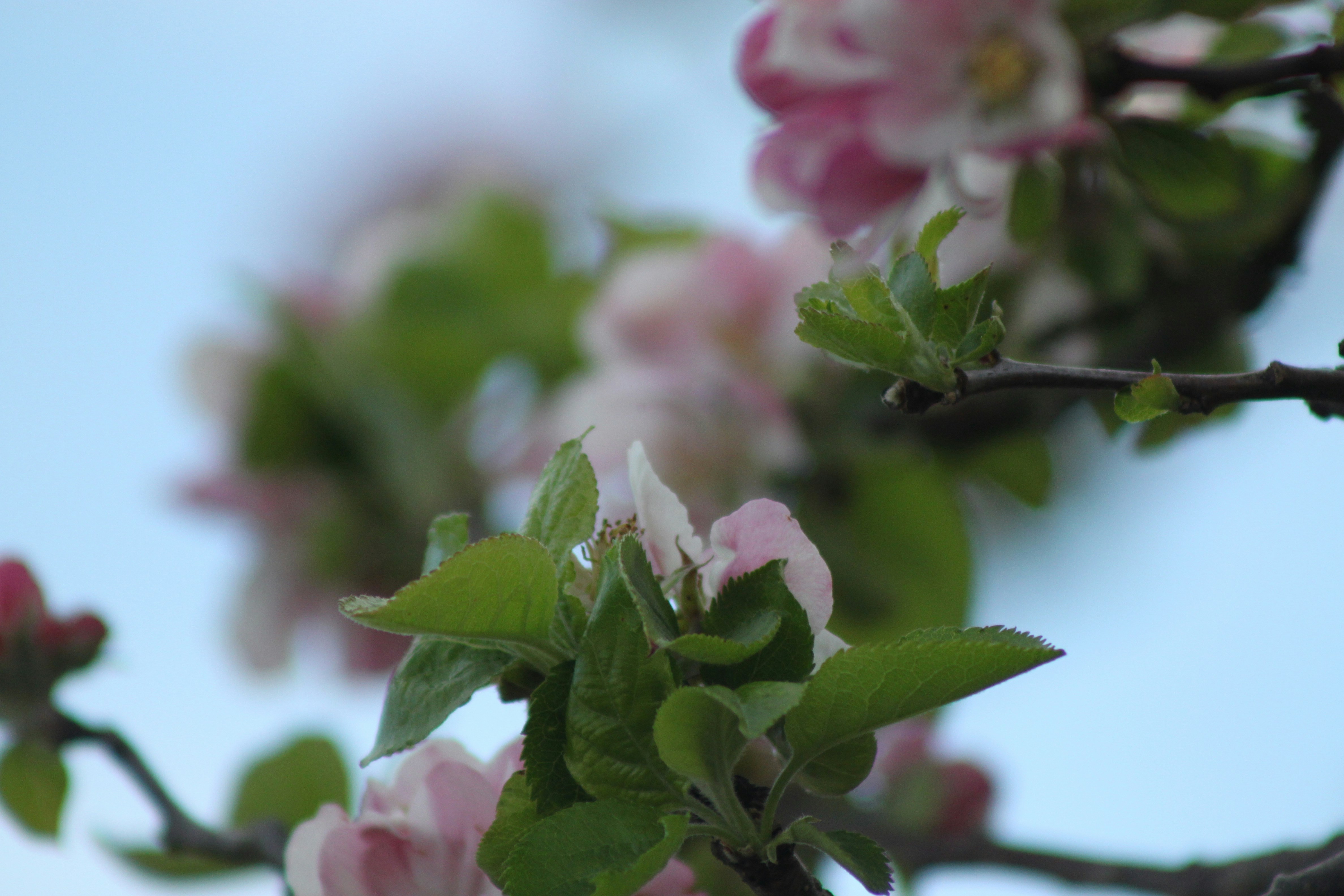 Photo by rubyphotography