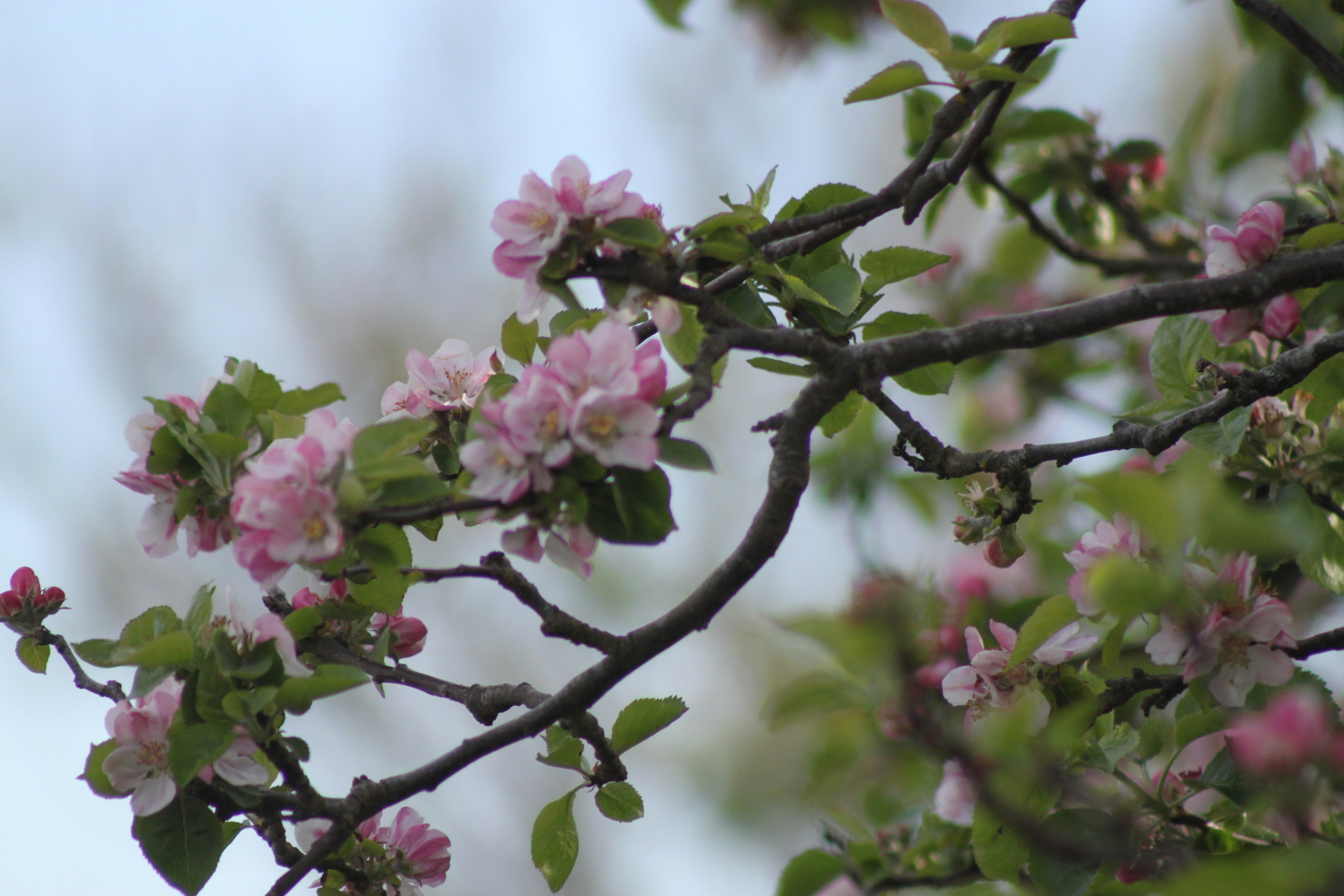 Photo by rubyphotography