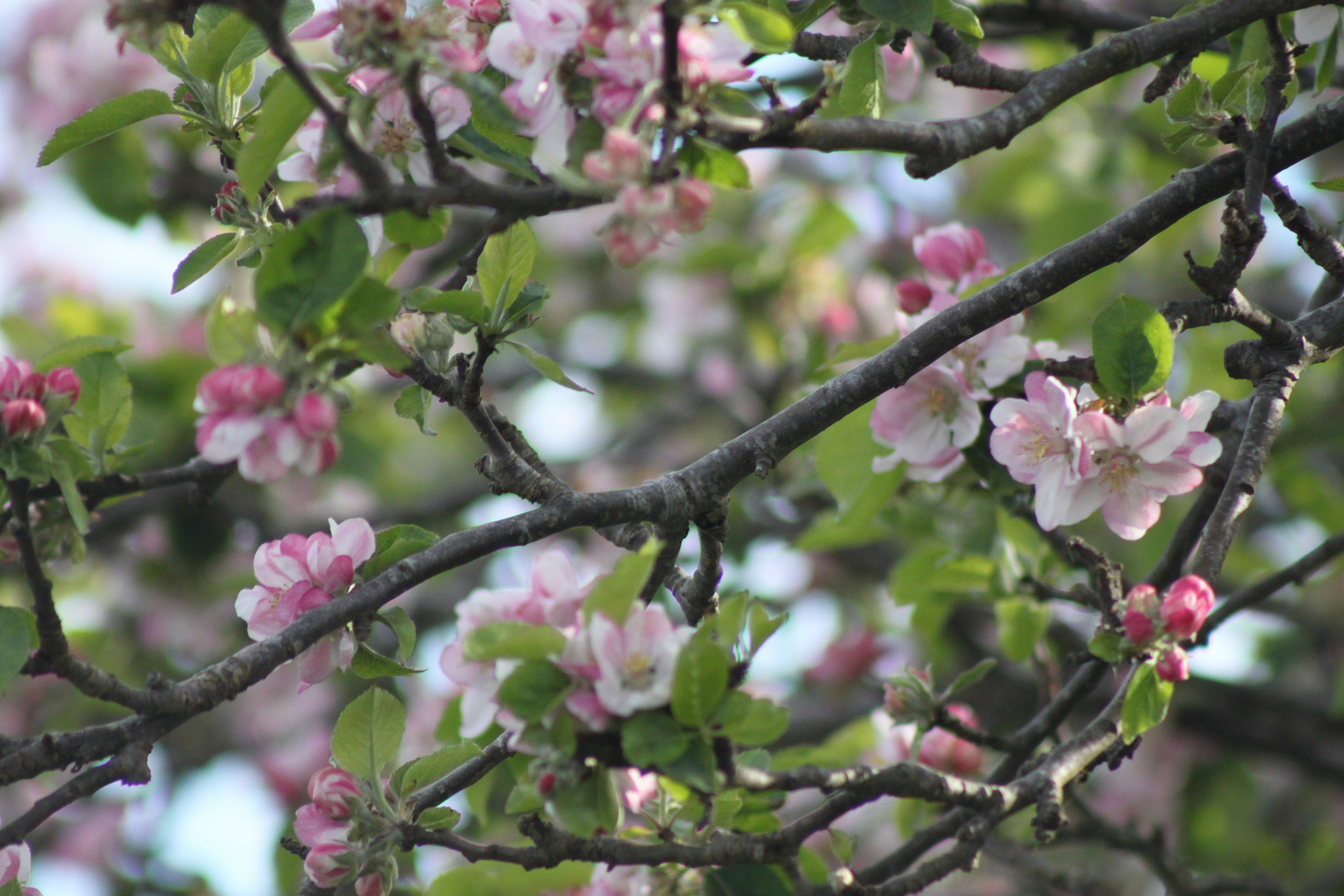 Photo by rubyphotography