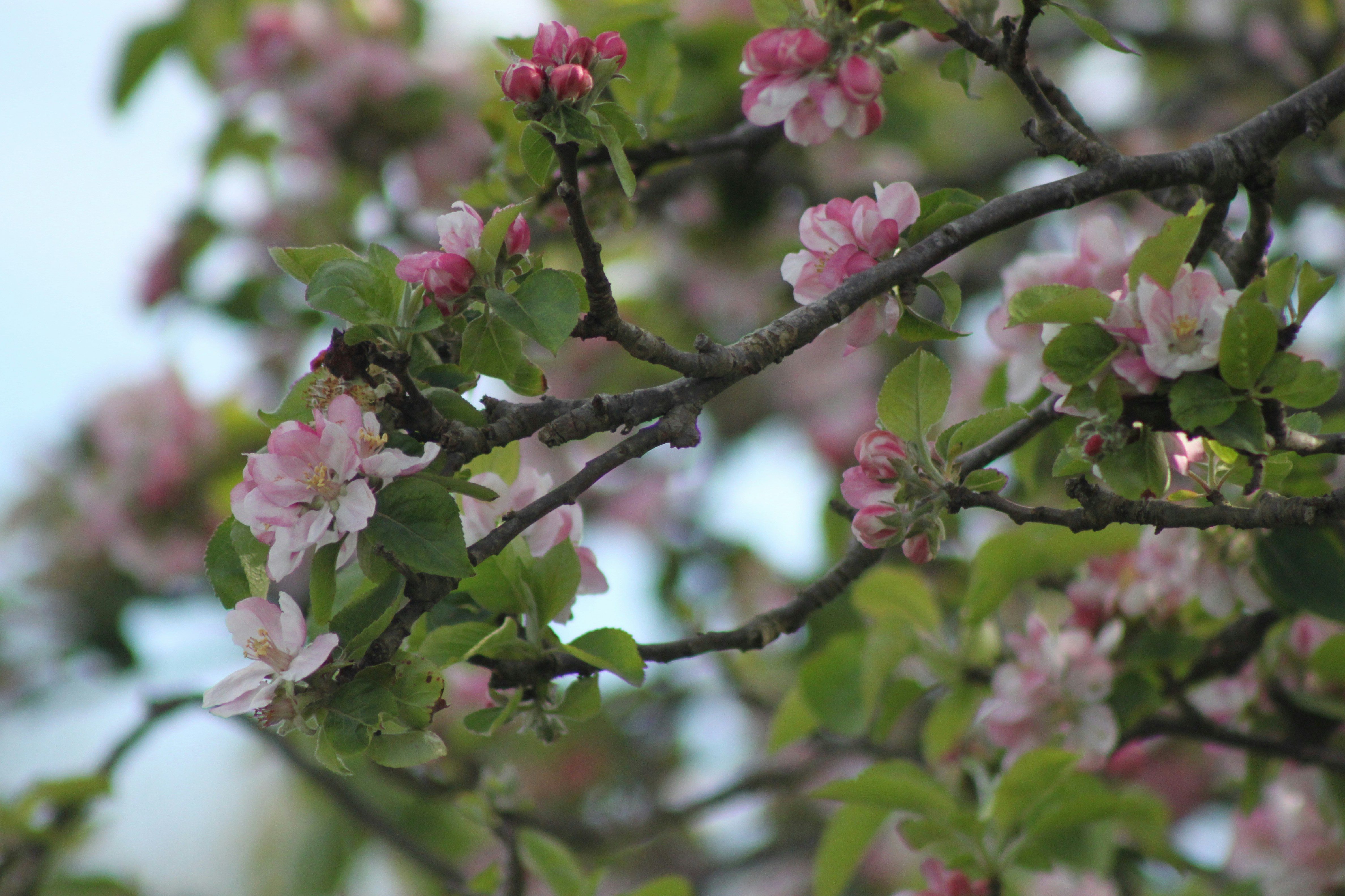 Photo by rubyphotography