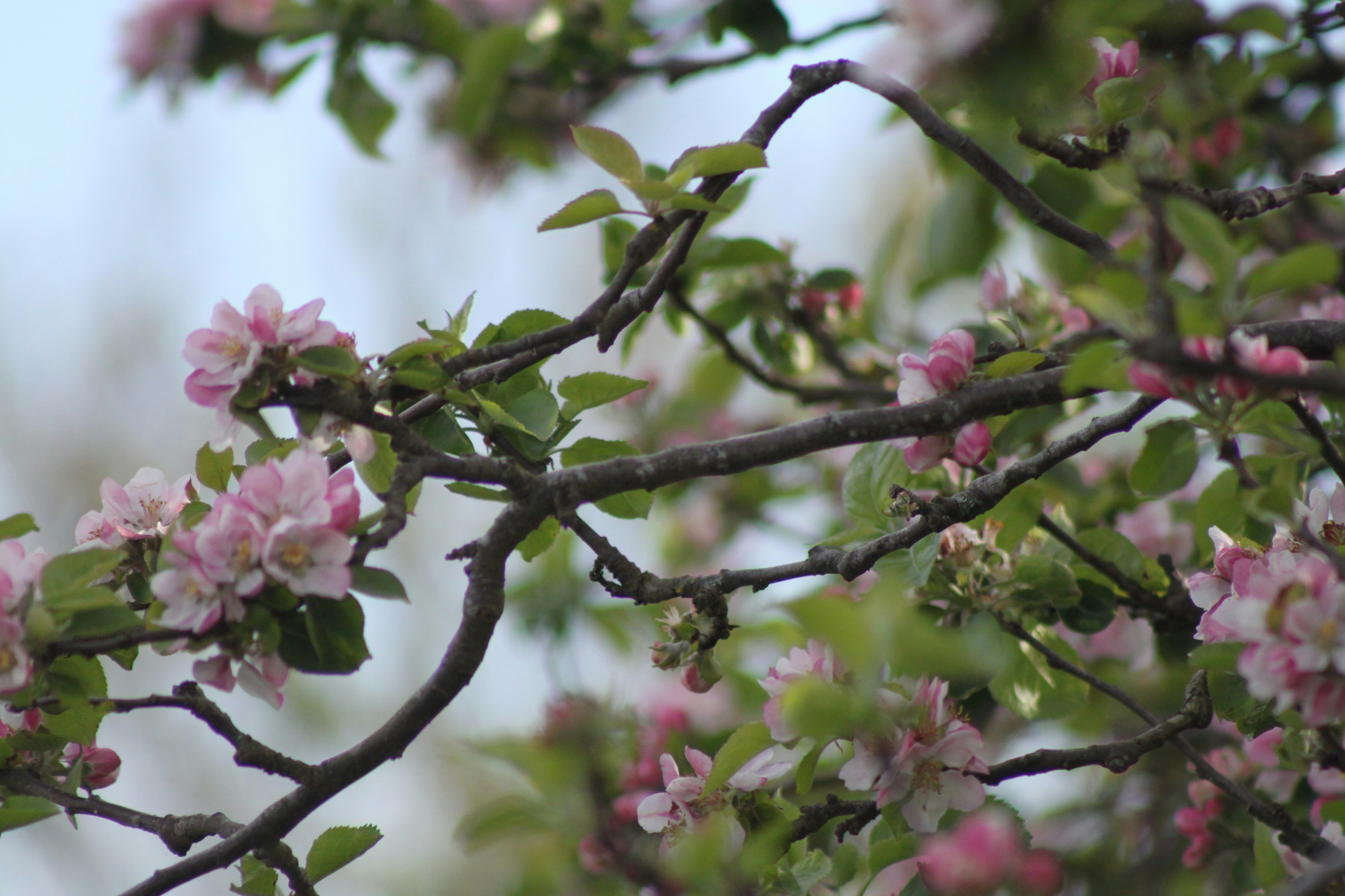 Photo by rubyphotography