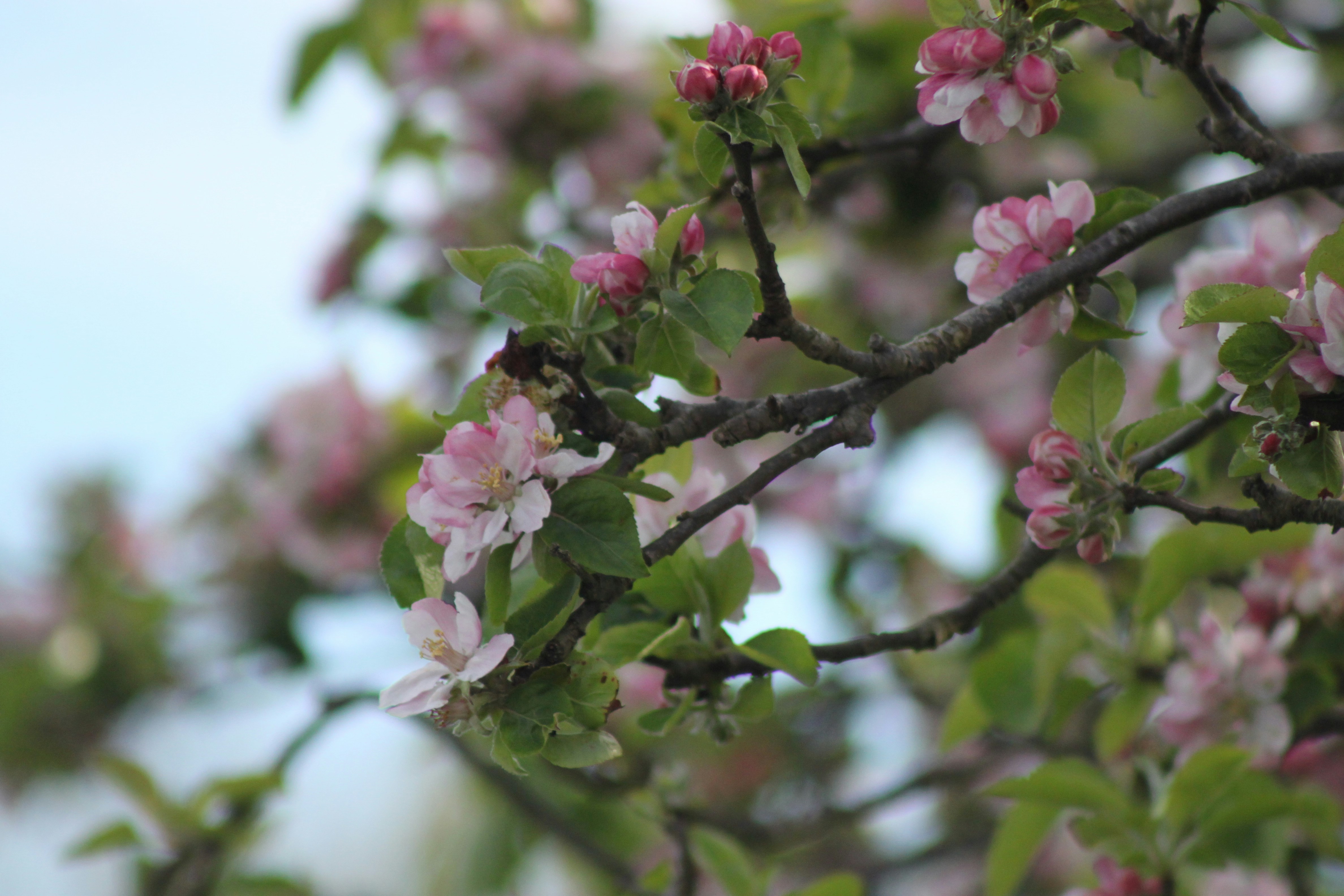 Photo by rubyphotography