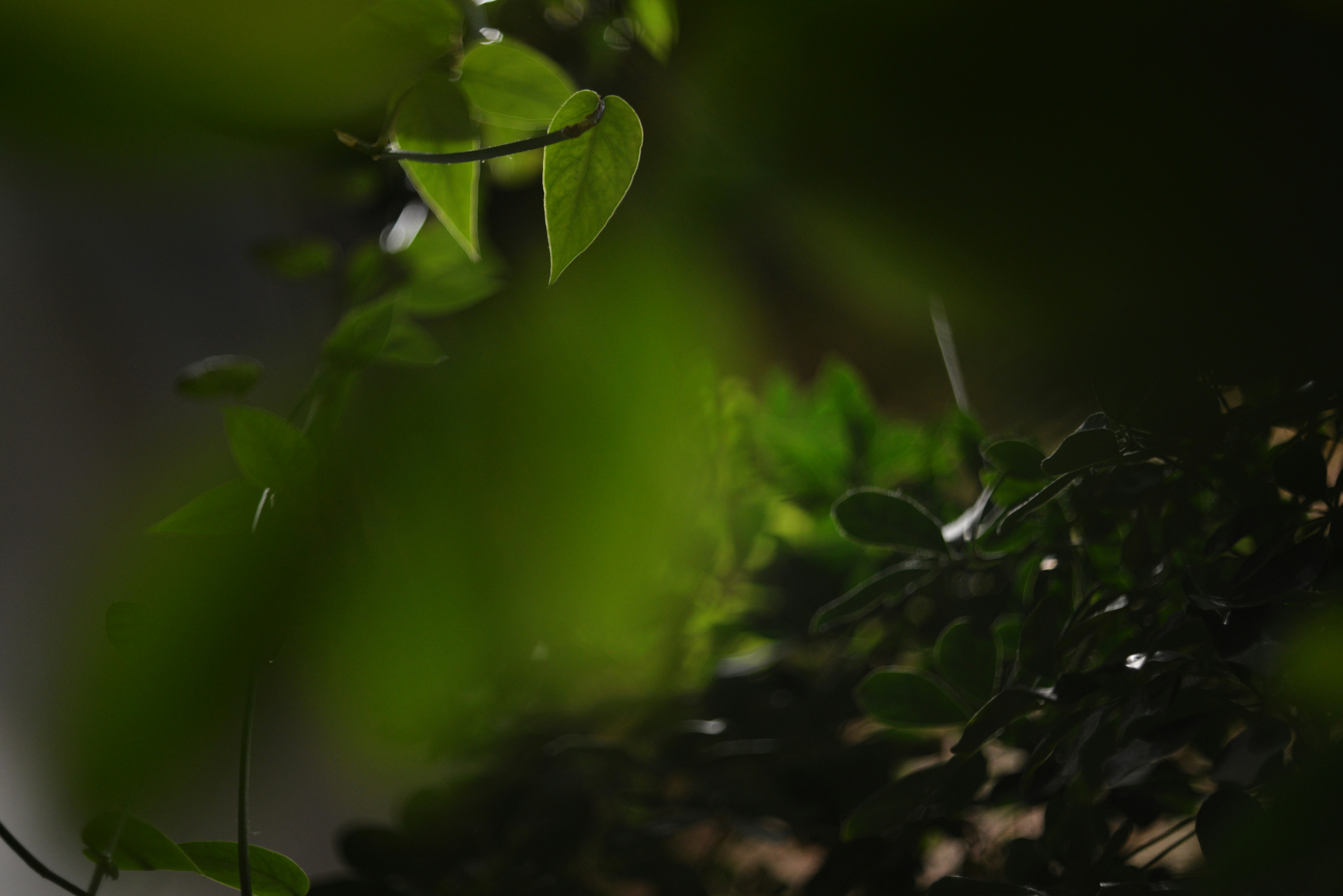 Photo by cherstve_pechivo