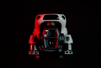 A black and red photo of a camera